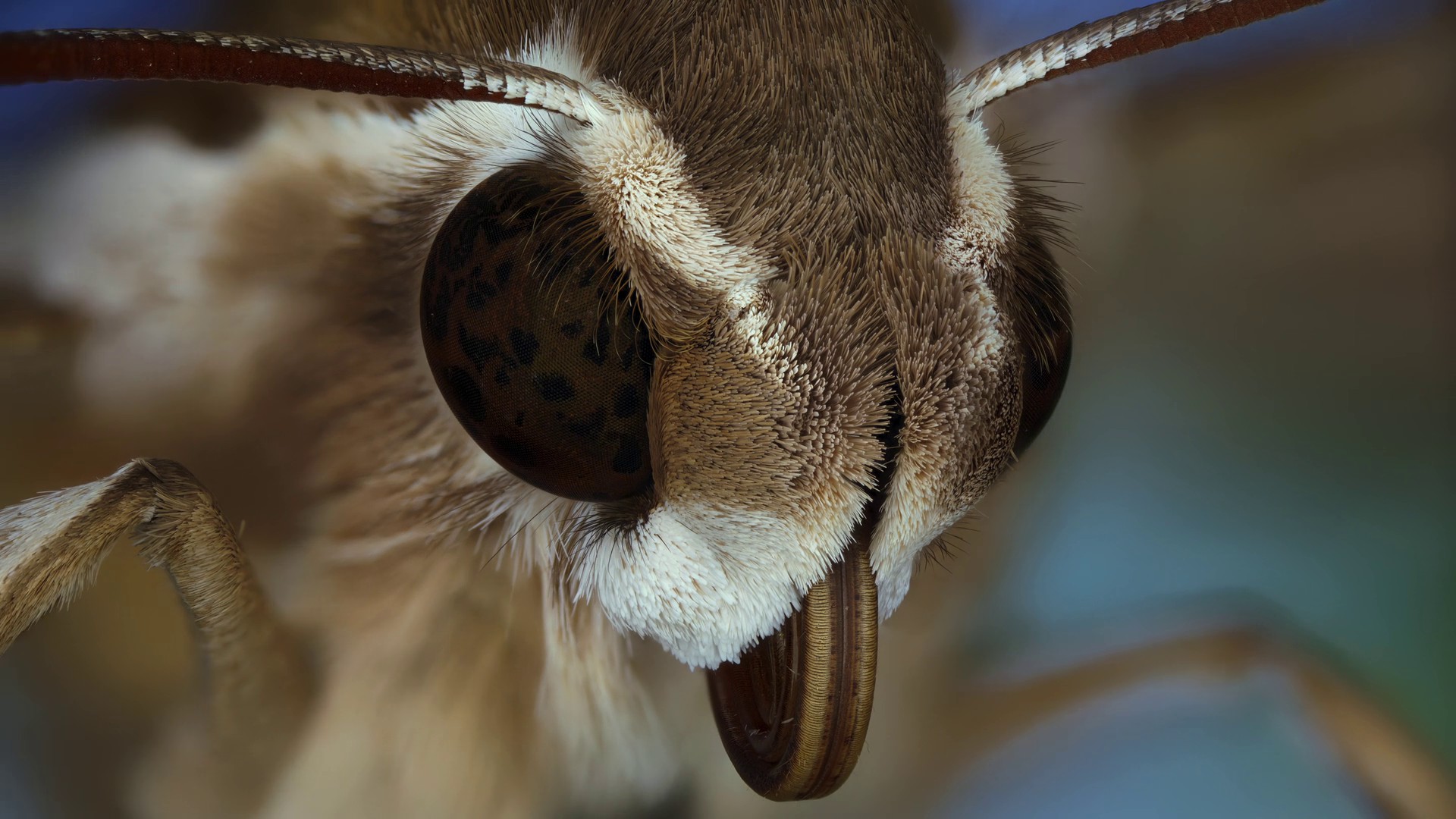 Invaders of the Land (2023) —  shot,  lighting