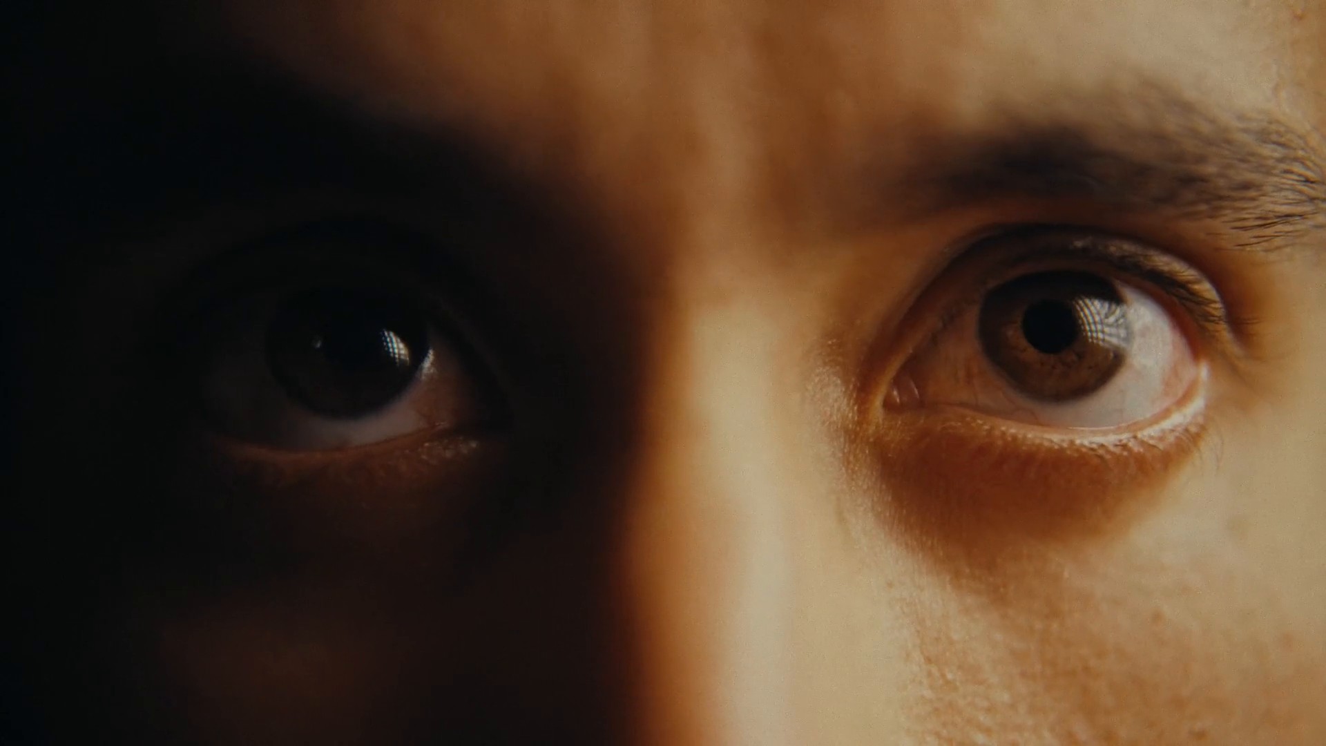 The Money Transfer (2024) —  shot,  lighting