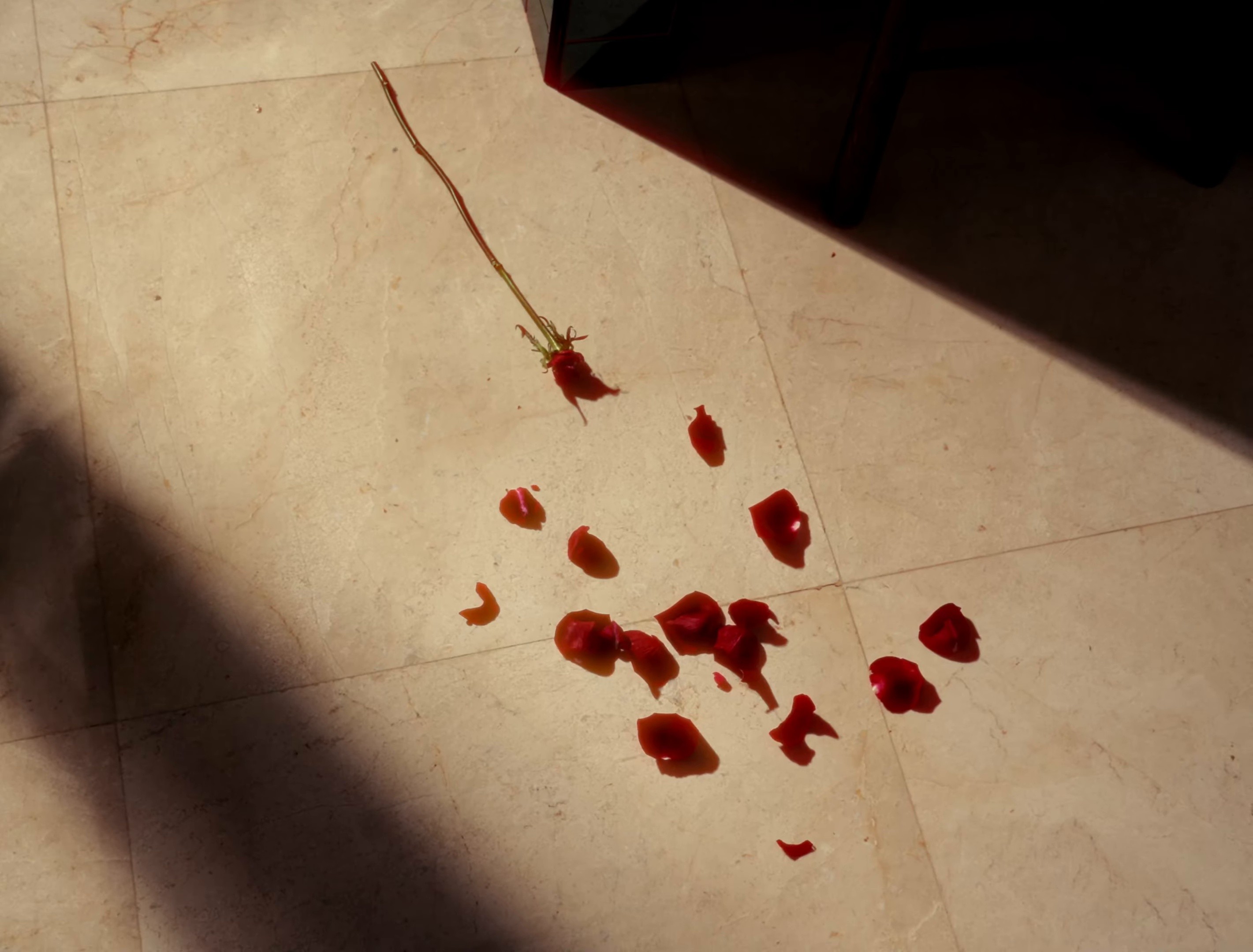 Tell Your Friends (2024) —  shot,  lighting