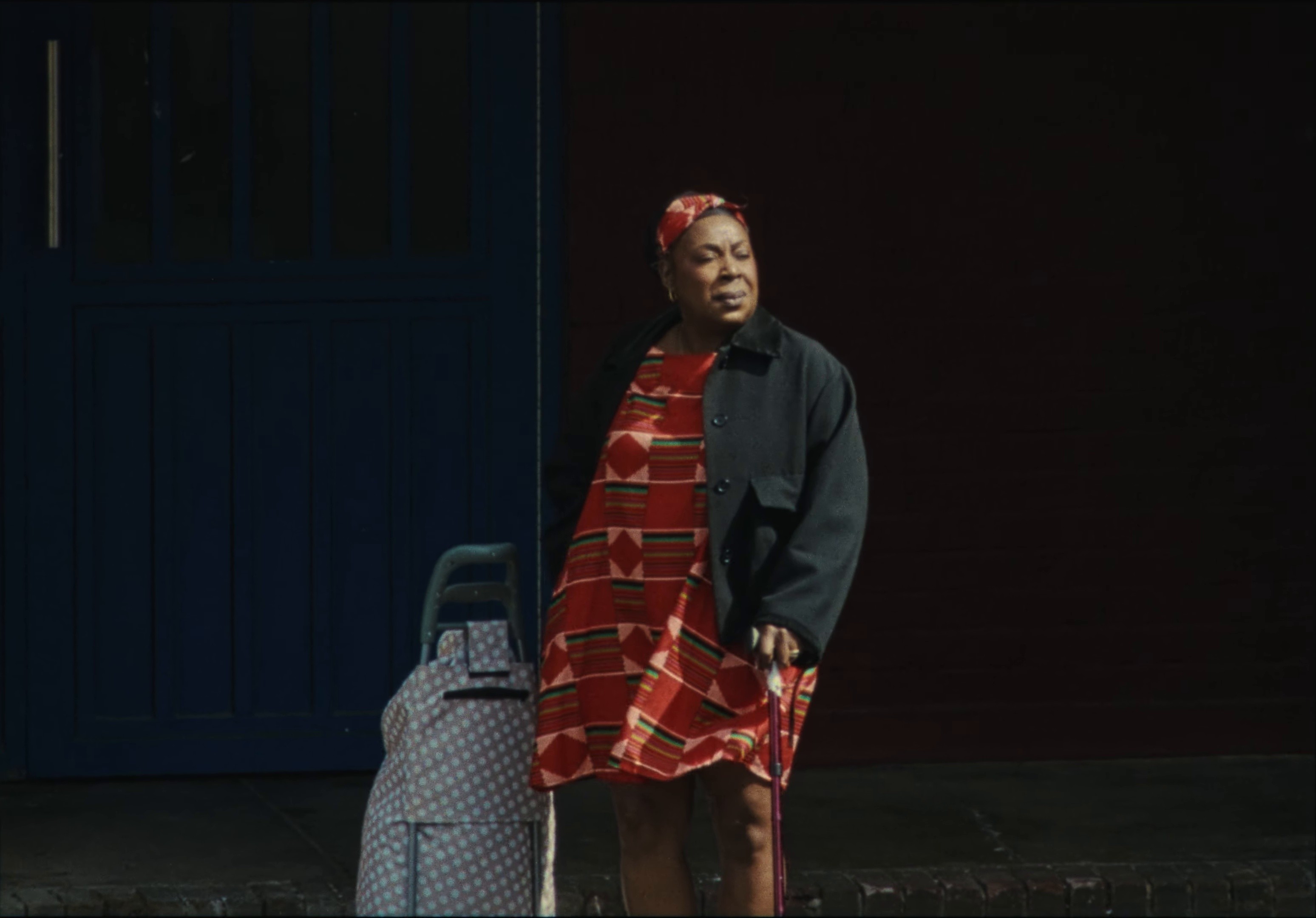 JUNGLE (2025) —  shot,  lighting