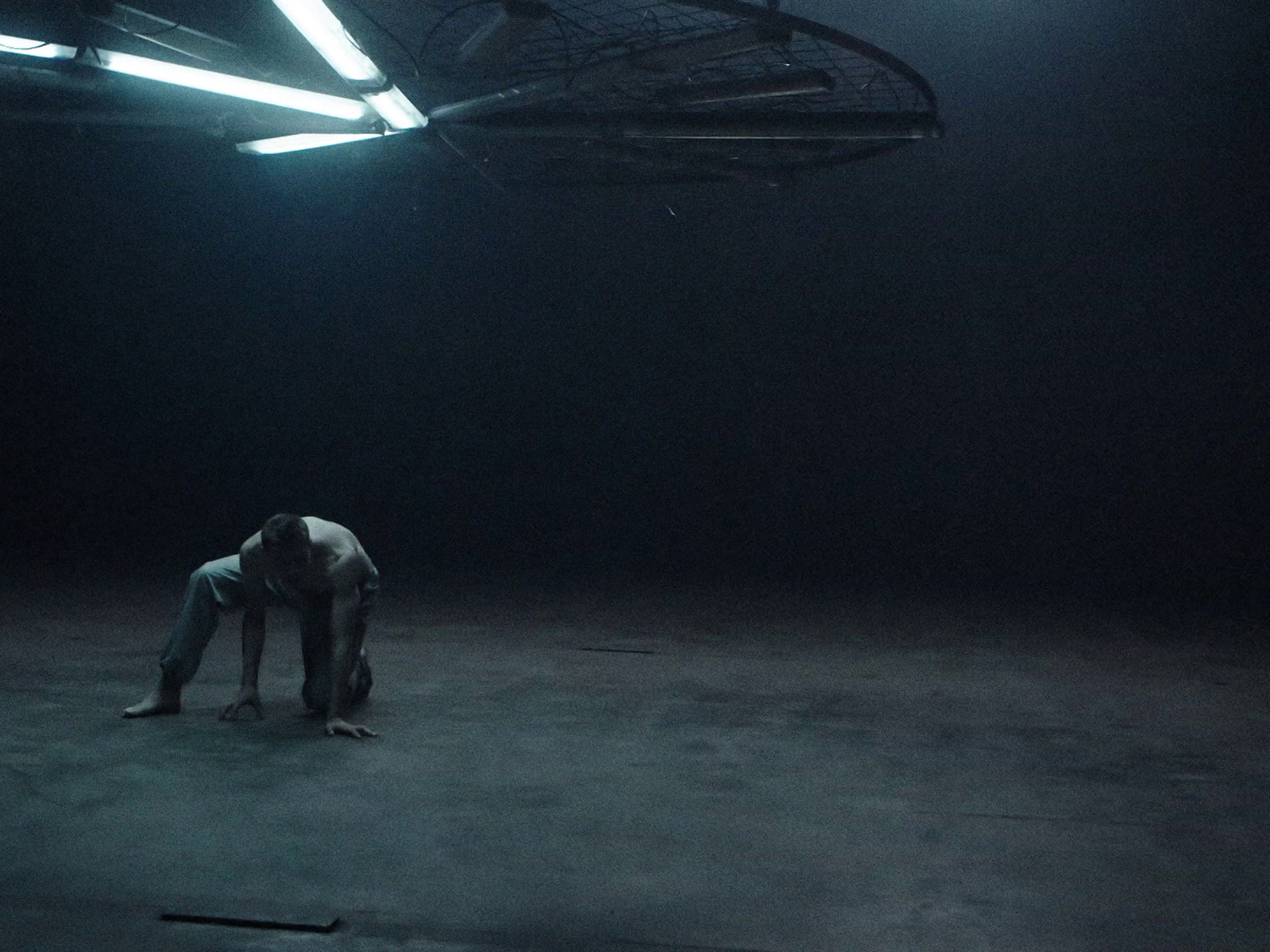 Roses (2020) —  shot,  lighting