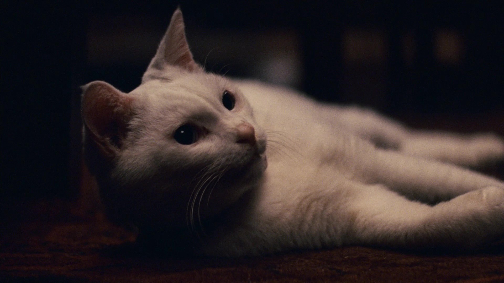 Babel (2006) —  shot,  lighting