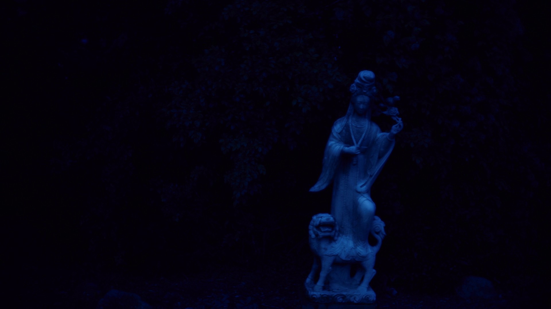 Vengeance Is My Name (2023) —  shot,  lighting