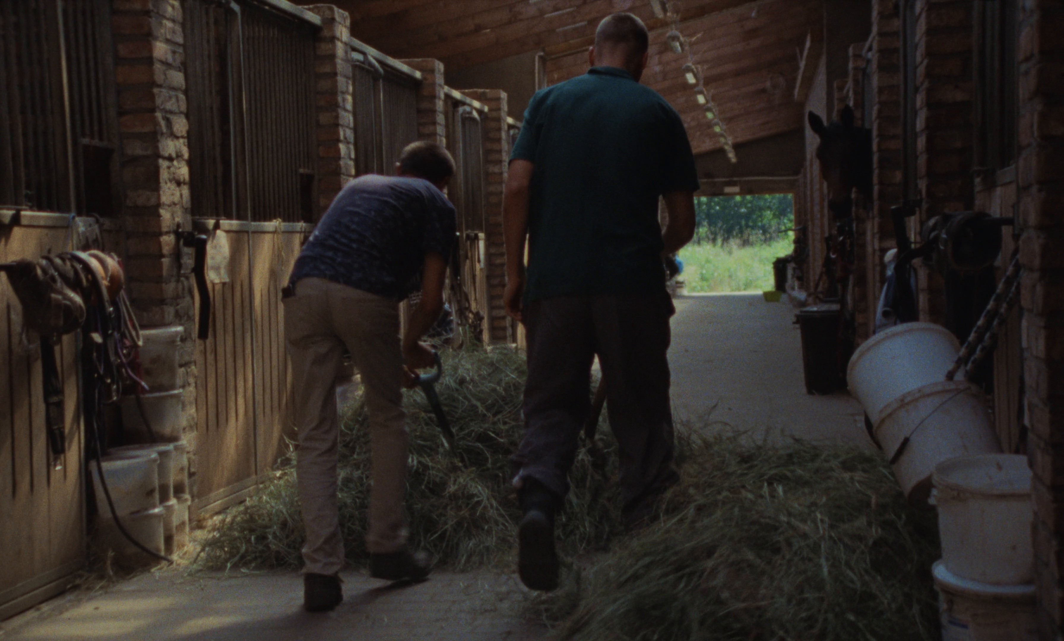 Music for a while (2024) —  shot,  lighting