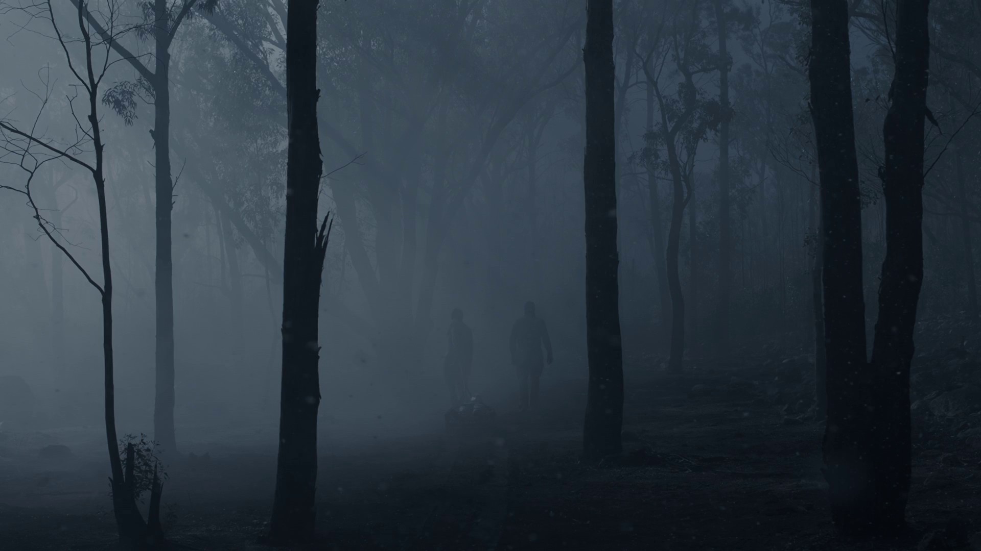 Faces (2020) —  shot,  lighting