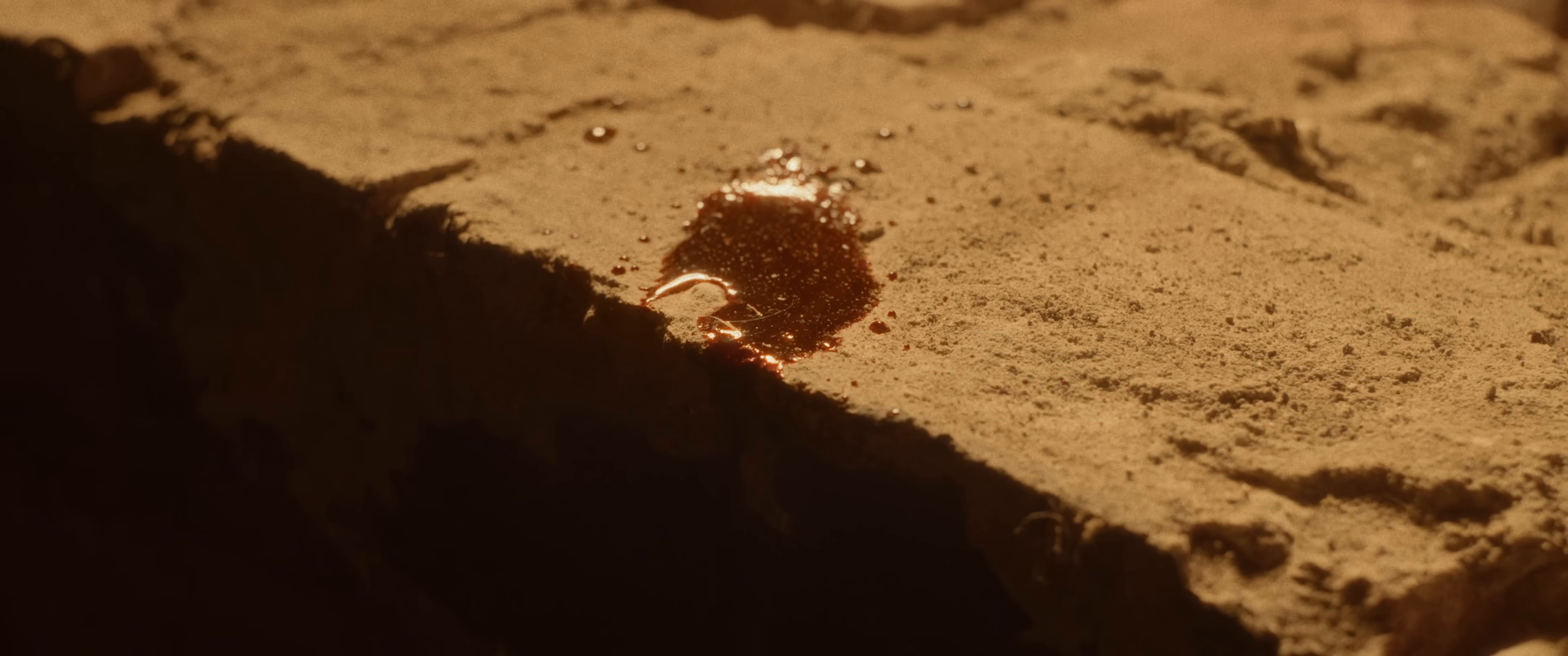 Saoirse  (2025) —  shot,  lighting