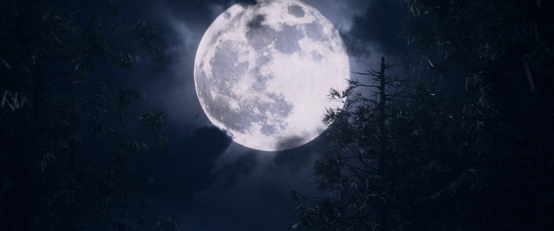 Lemon Scented You (2017) —  shot,  lighting