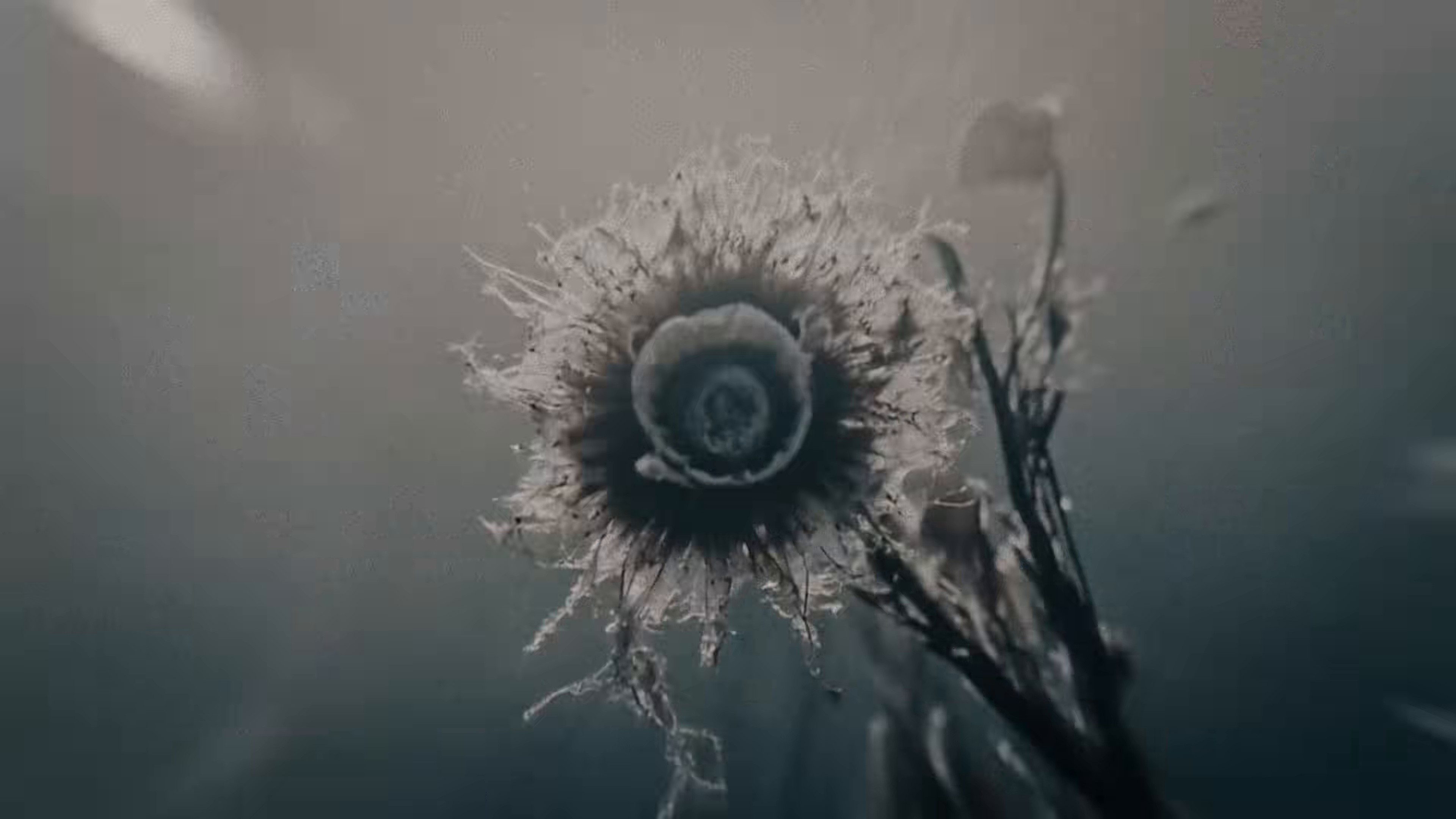 Rien ne se remplace (2025) —  shot,  lighting