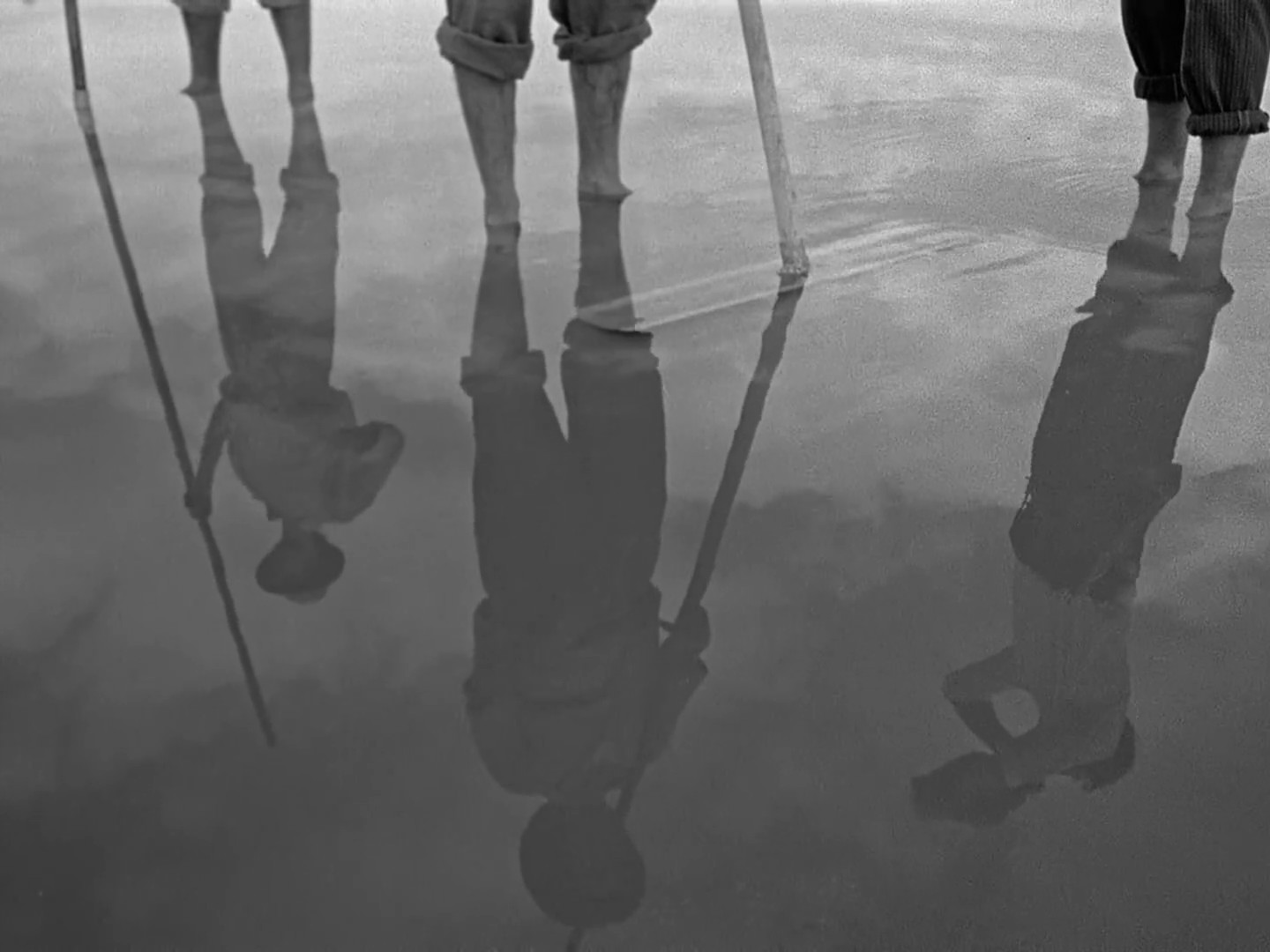 Fandangô de Carmen Porter (2020) —  shot,  lighting