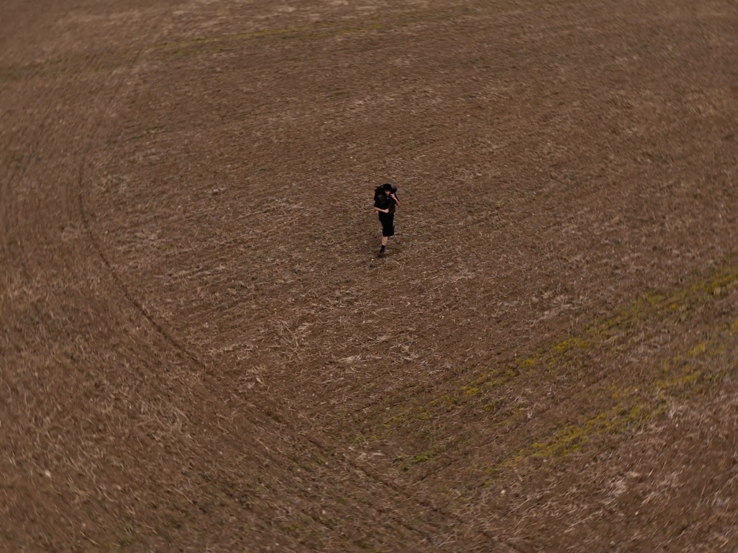 No Love (2025) —  shot,  lighting