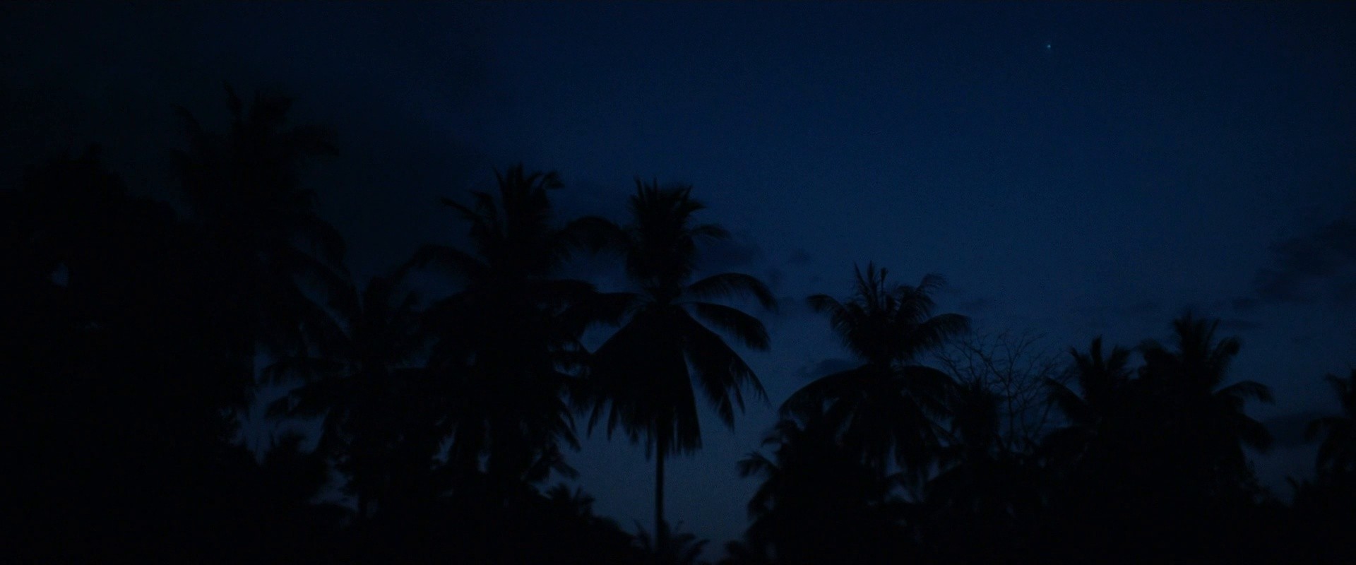 The Green Deal (2024) —  shot,  lighting