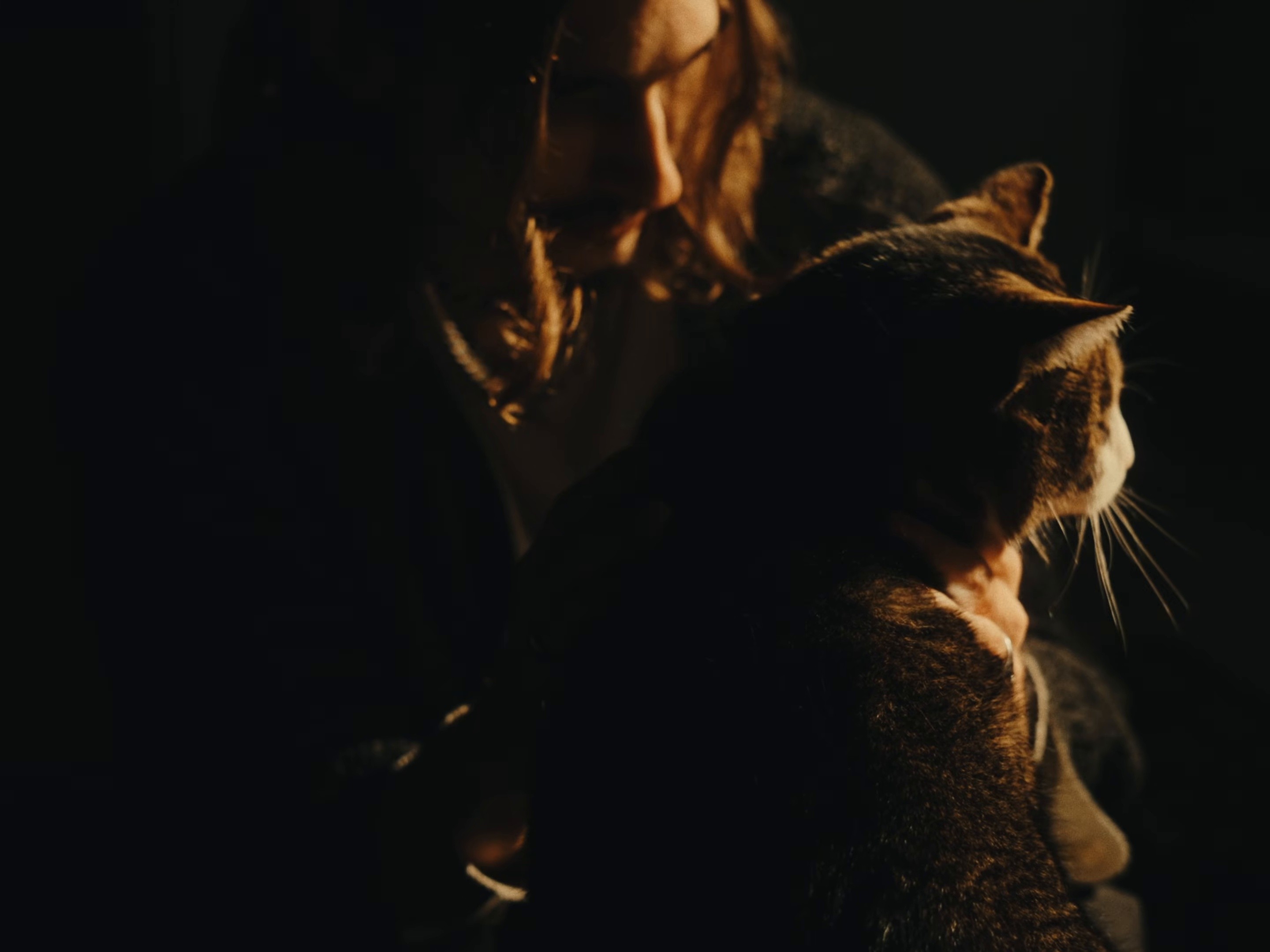 HÂTE DE VIVRE (2026) —  shot,  lighting