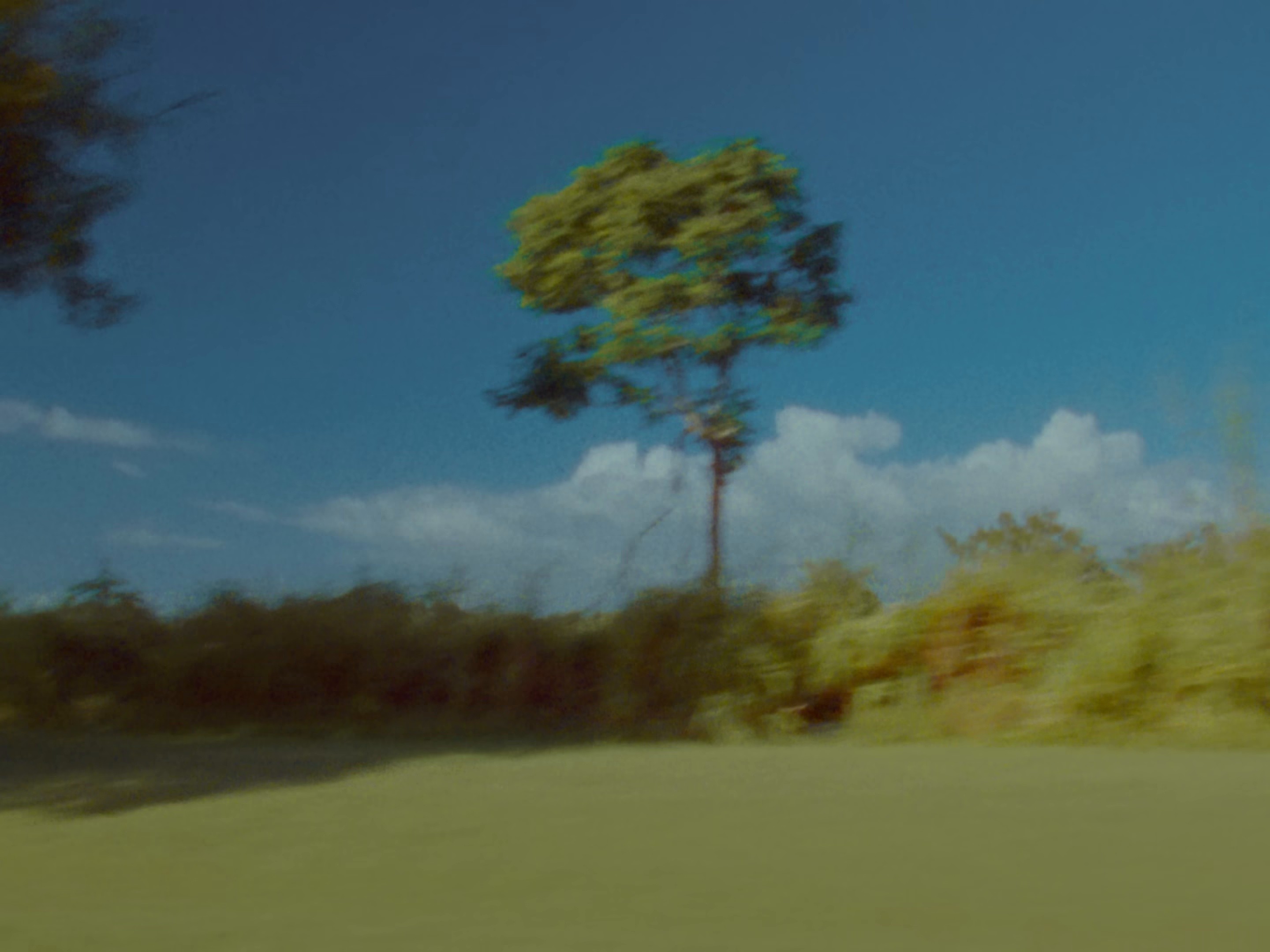 Bendito Vicio (2026) —  shot,  lighting