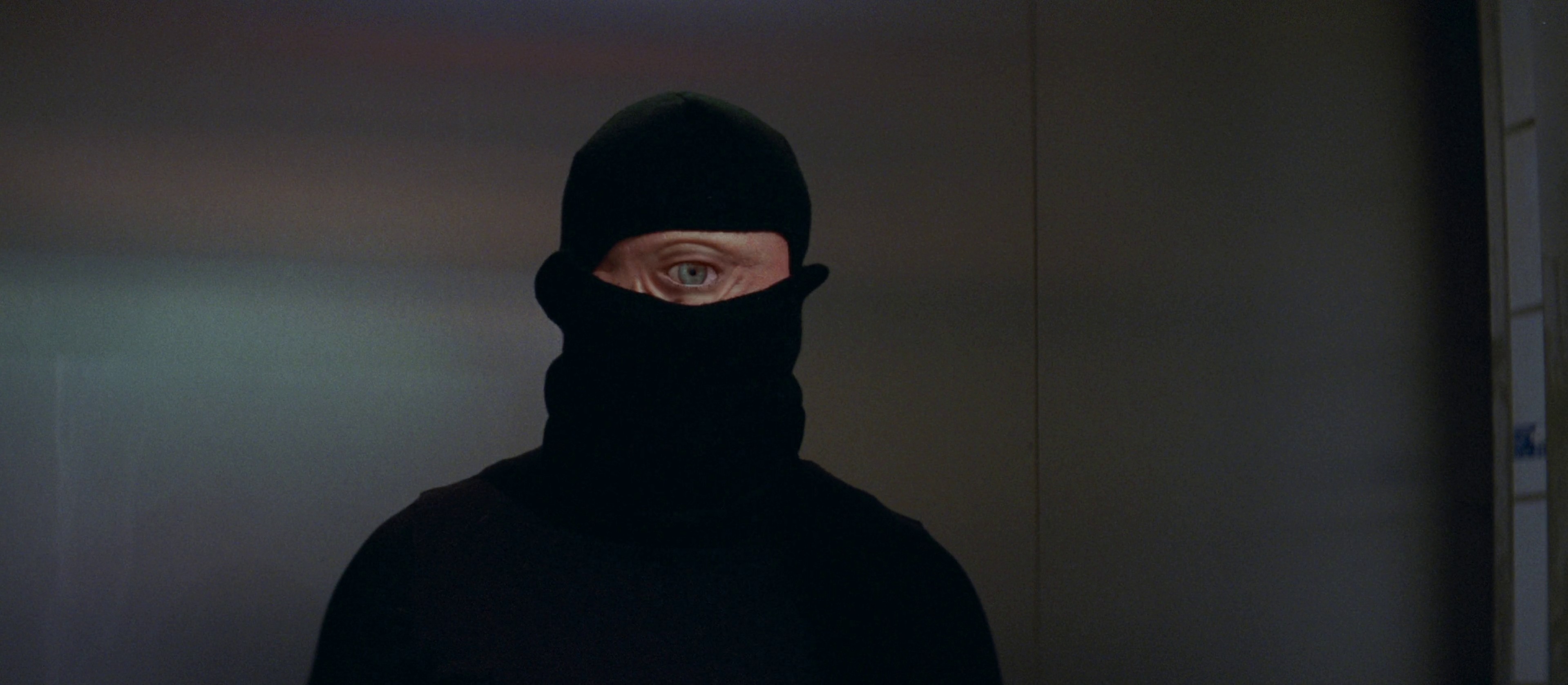 MIGROS - SALVIA ROSMARINUS (2024) —  shot,  lighting