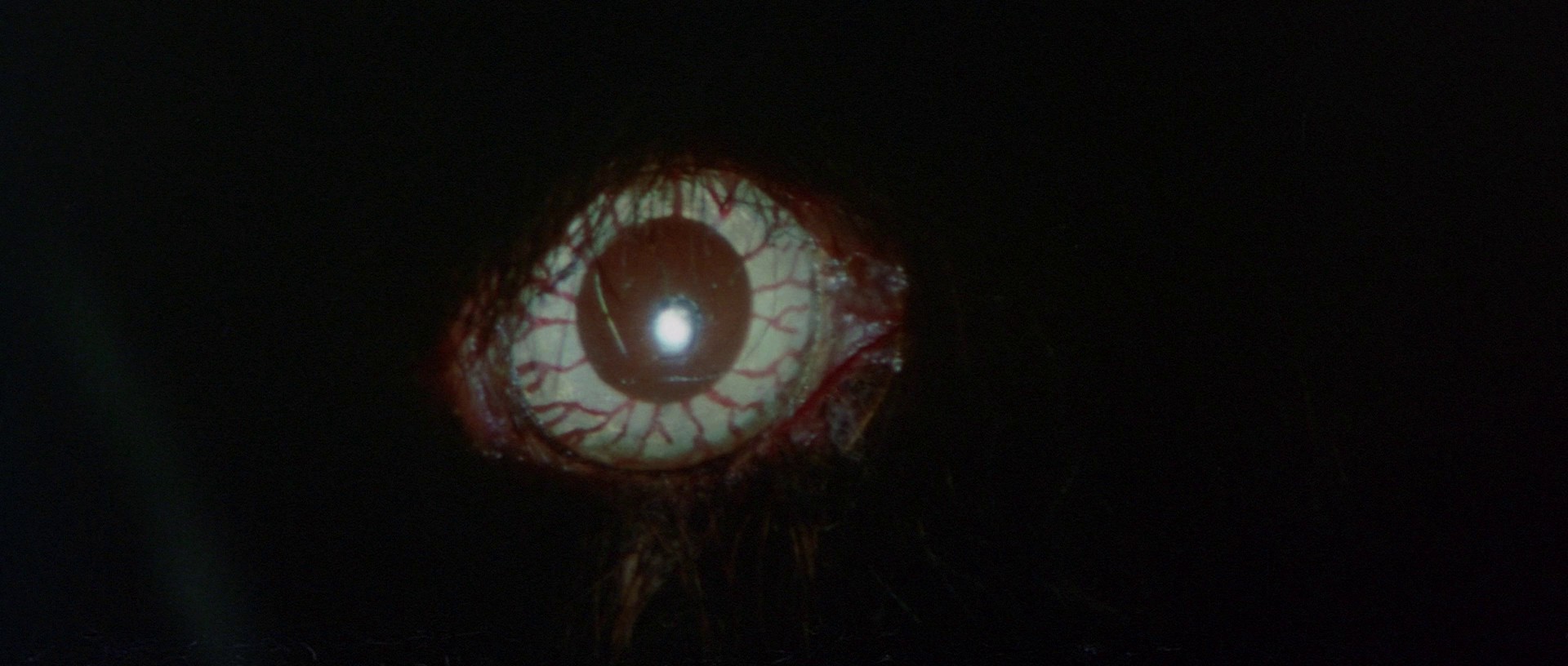 Yokai Monsters: 100 Monsters (1968) —  shot,  lighting