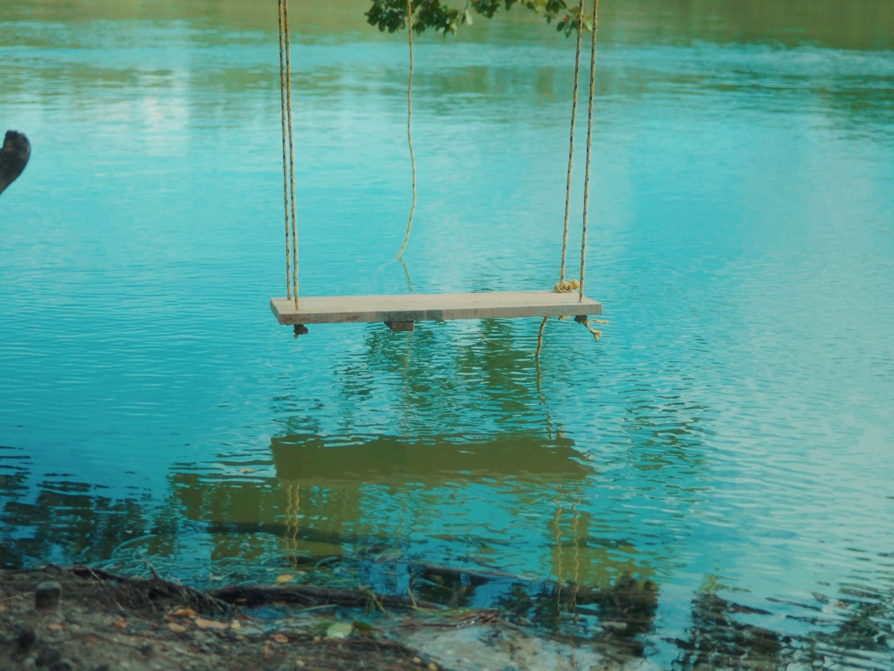 Gondwana (2024) —  shot,  lighting