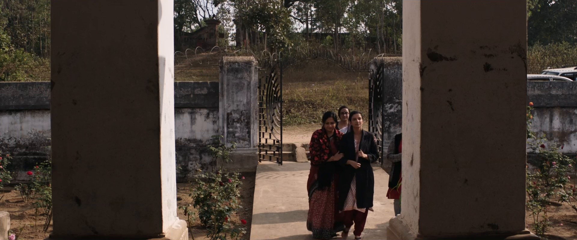 In the Mist (2023) —  shot,  lighting