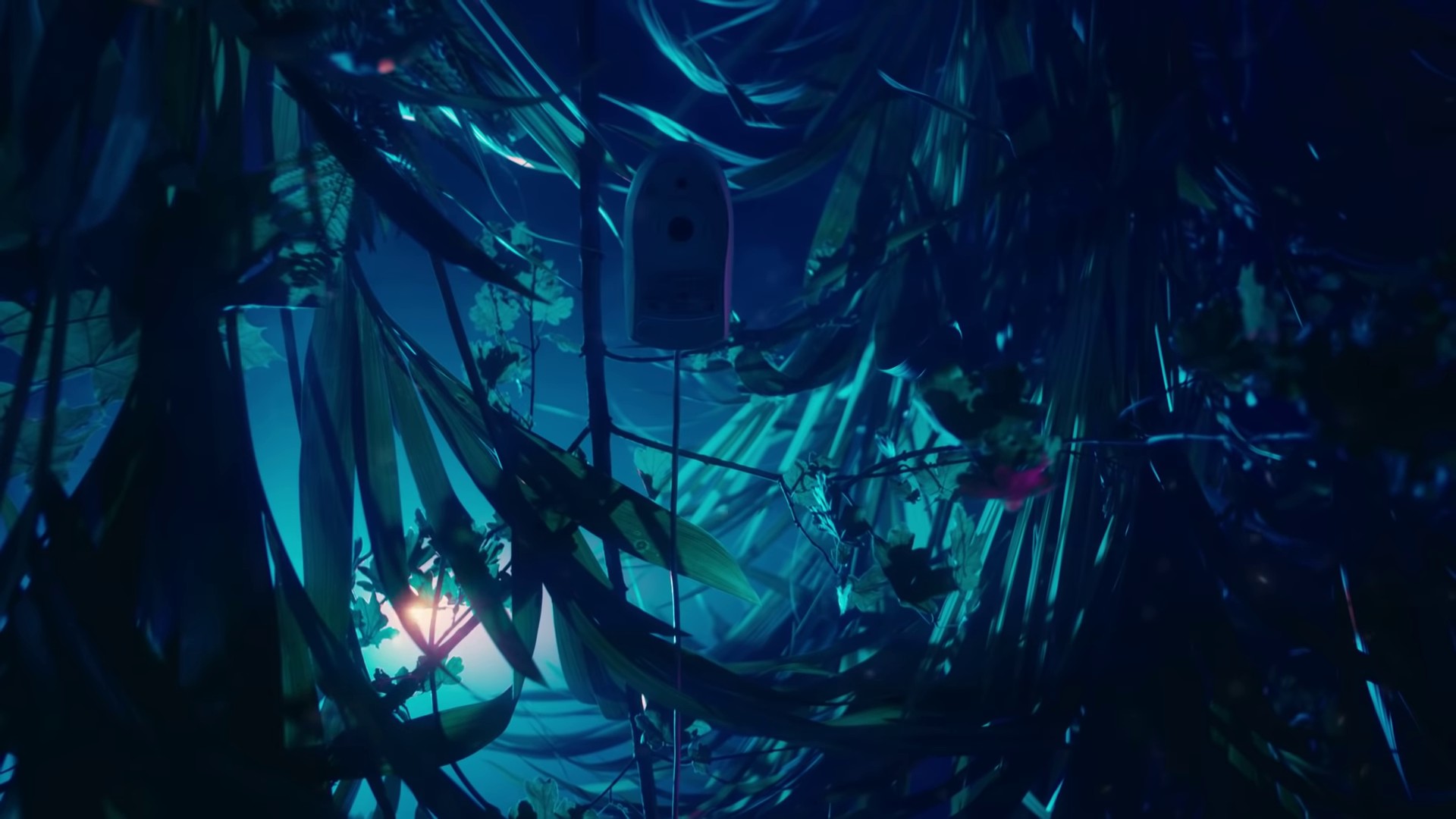 POLLEN (2021) —  shot,  lighting