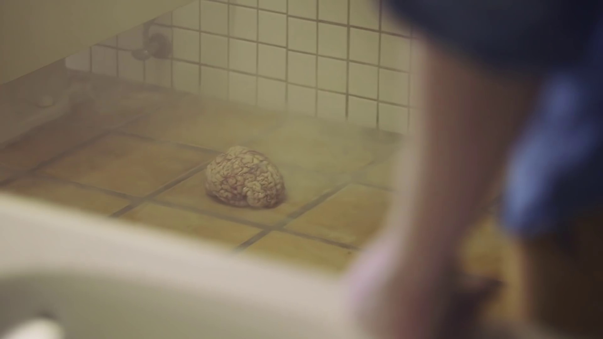 Night Owl  (2016) —  shot,  lighting