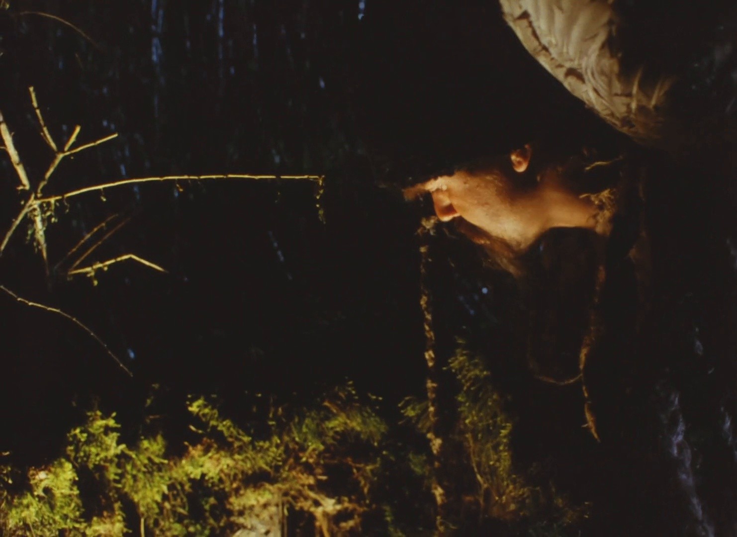 Golos travy (1995) —  shot,  lighting