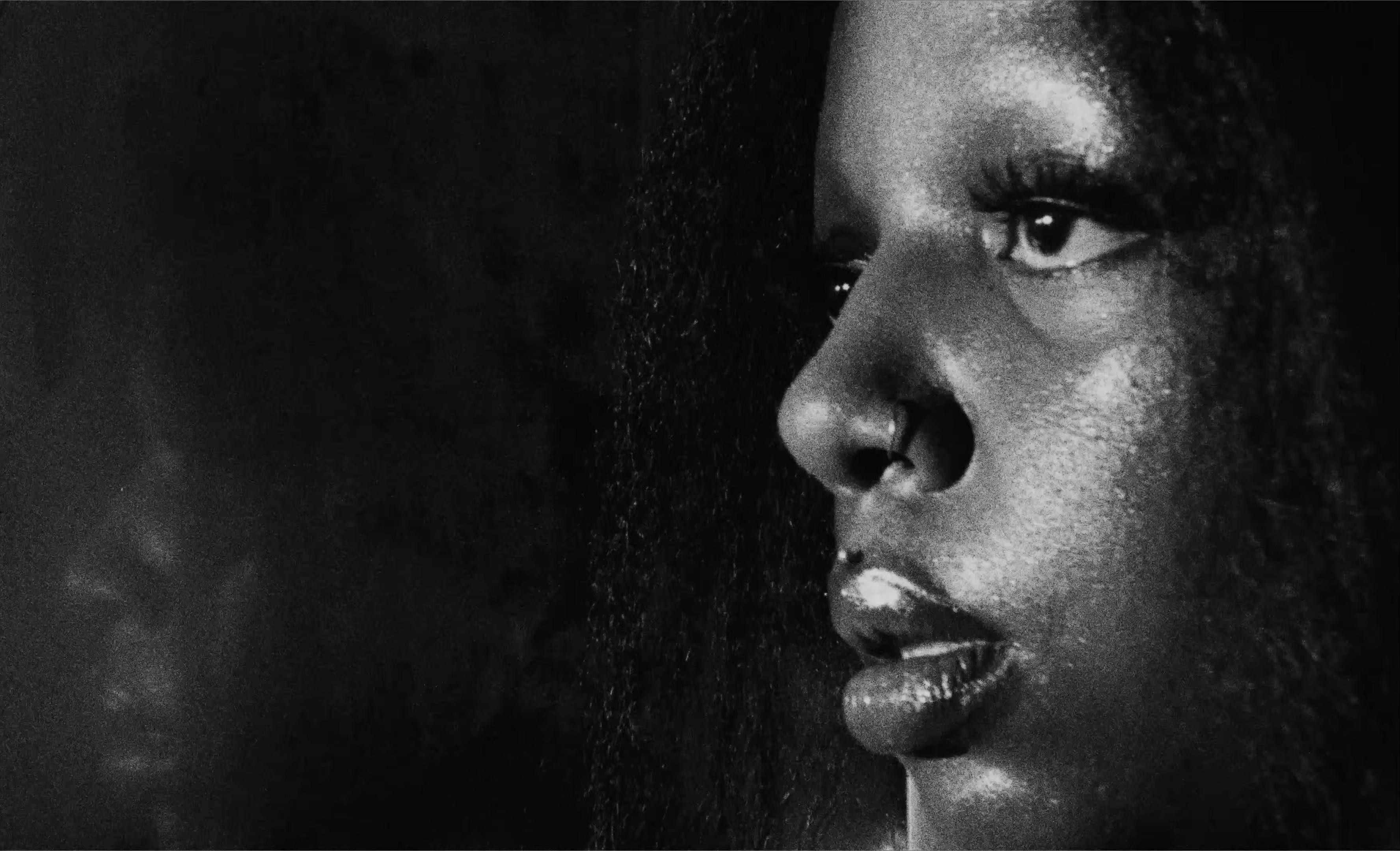 stupid prizes (2025) —  shot,  lighting