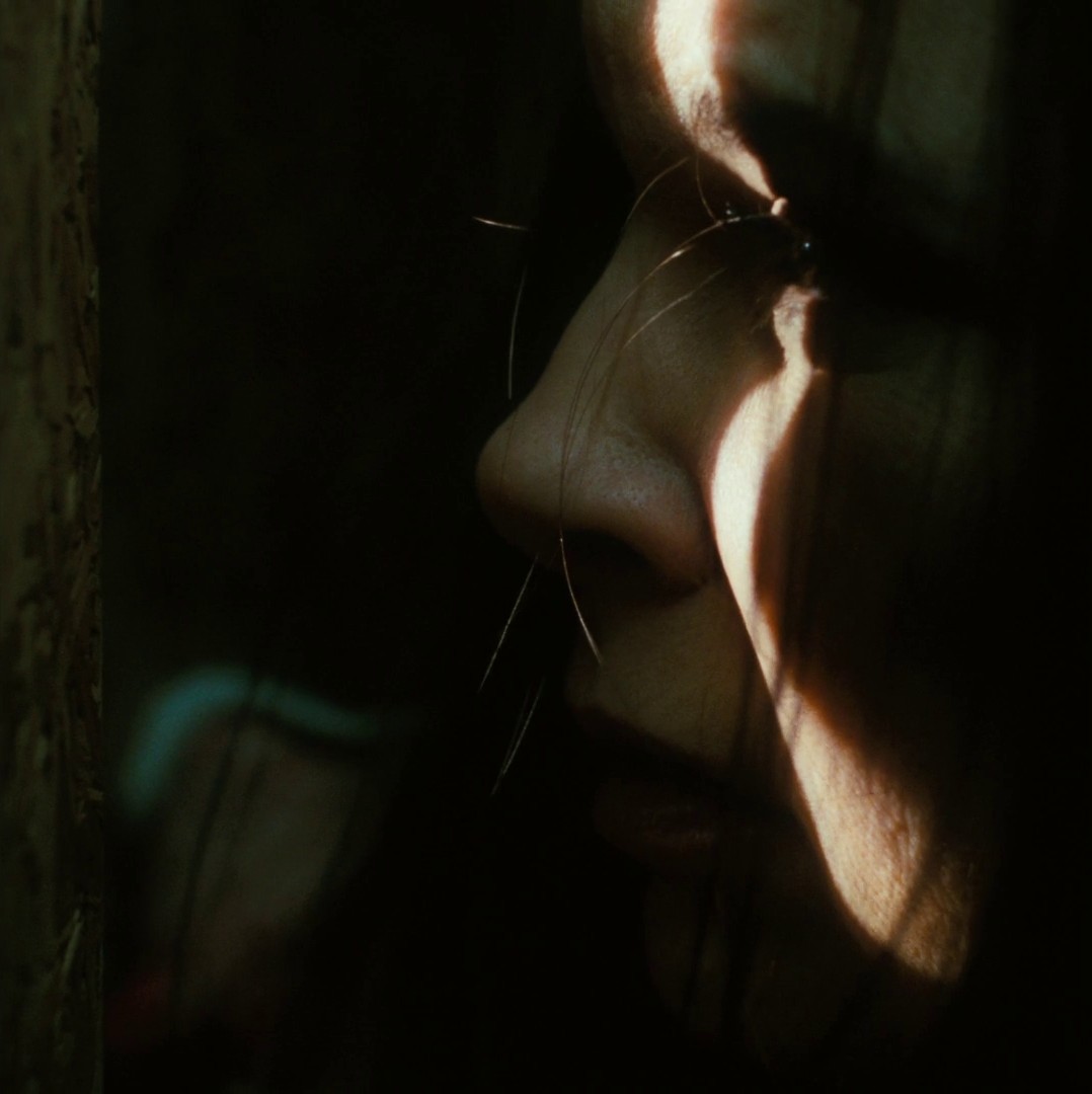 Mommy (2014) —  shot,  lighting