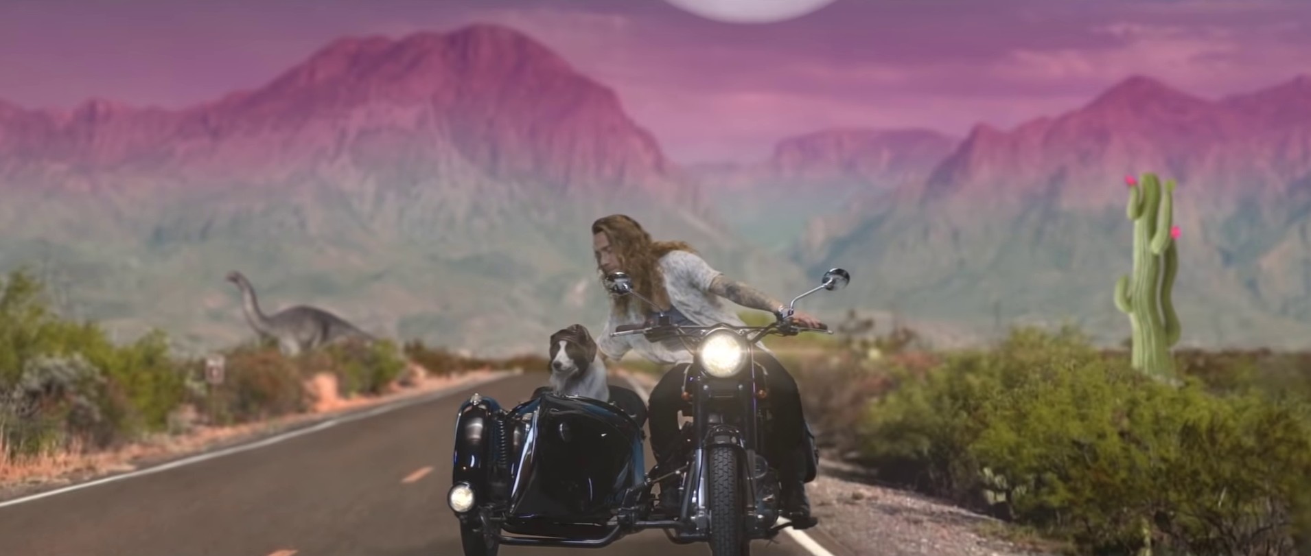 Waf  (2021) —  shot,  lighting