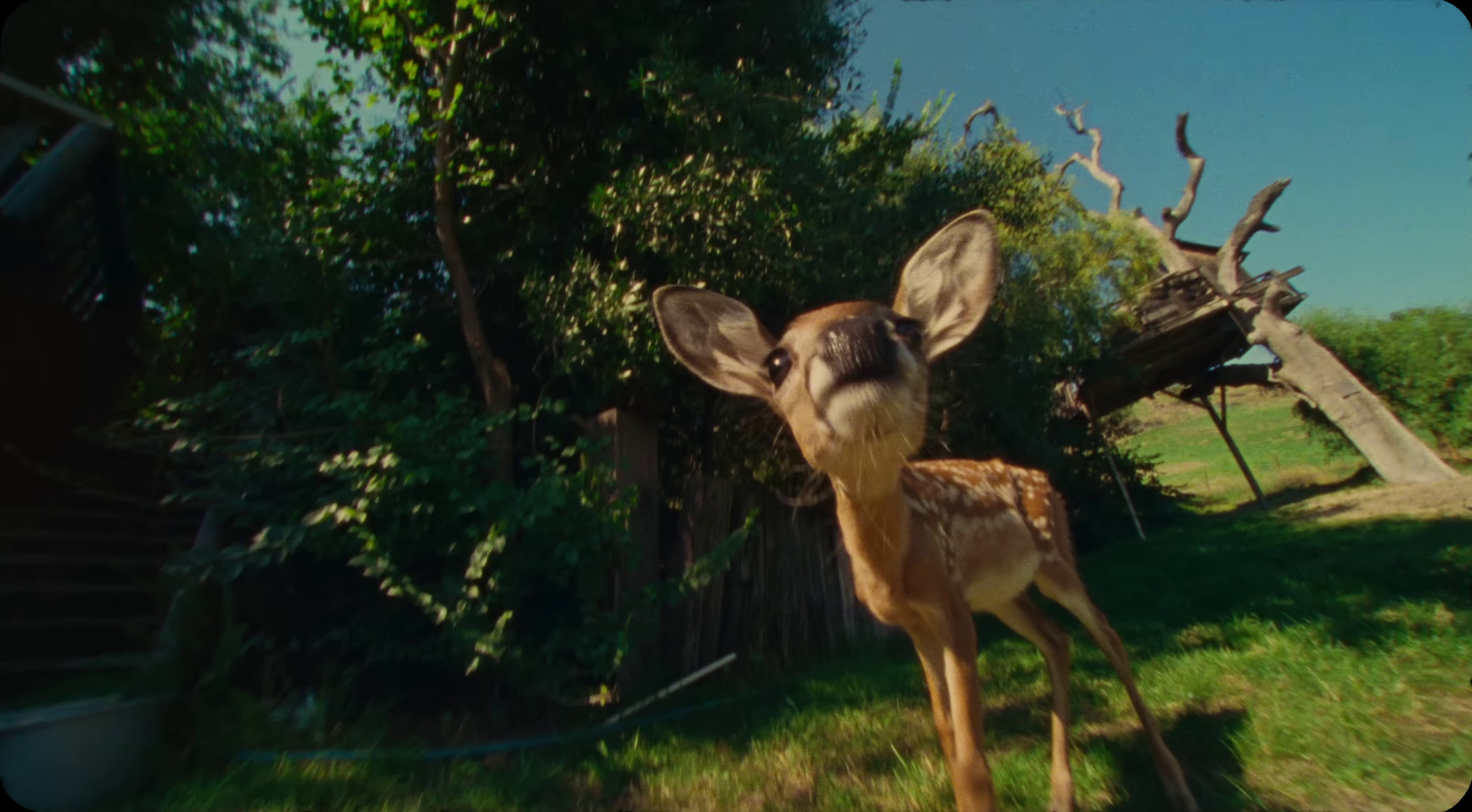 kickstand (2023) —  shot,  lighting