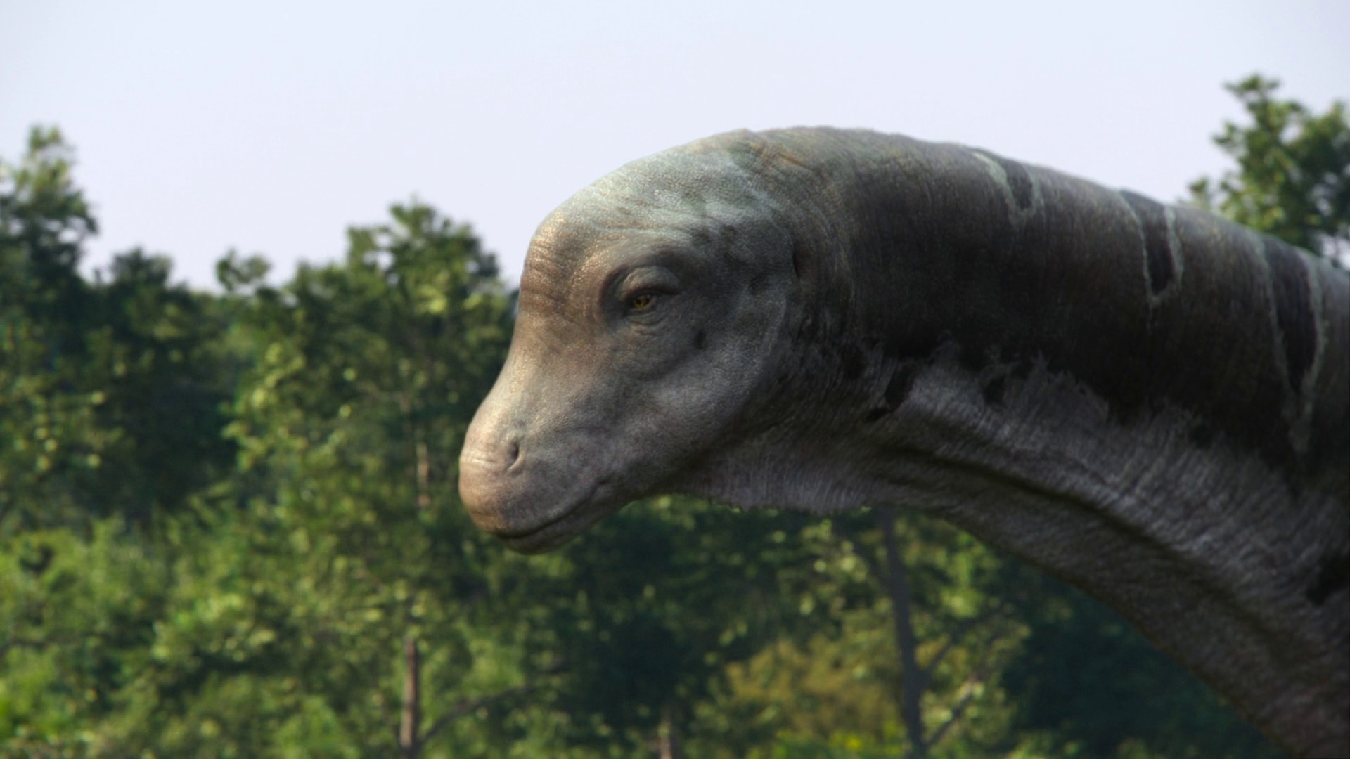 Out of the Ashes (2023) —  shot,  lighting