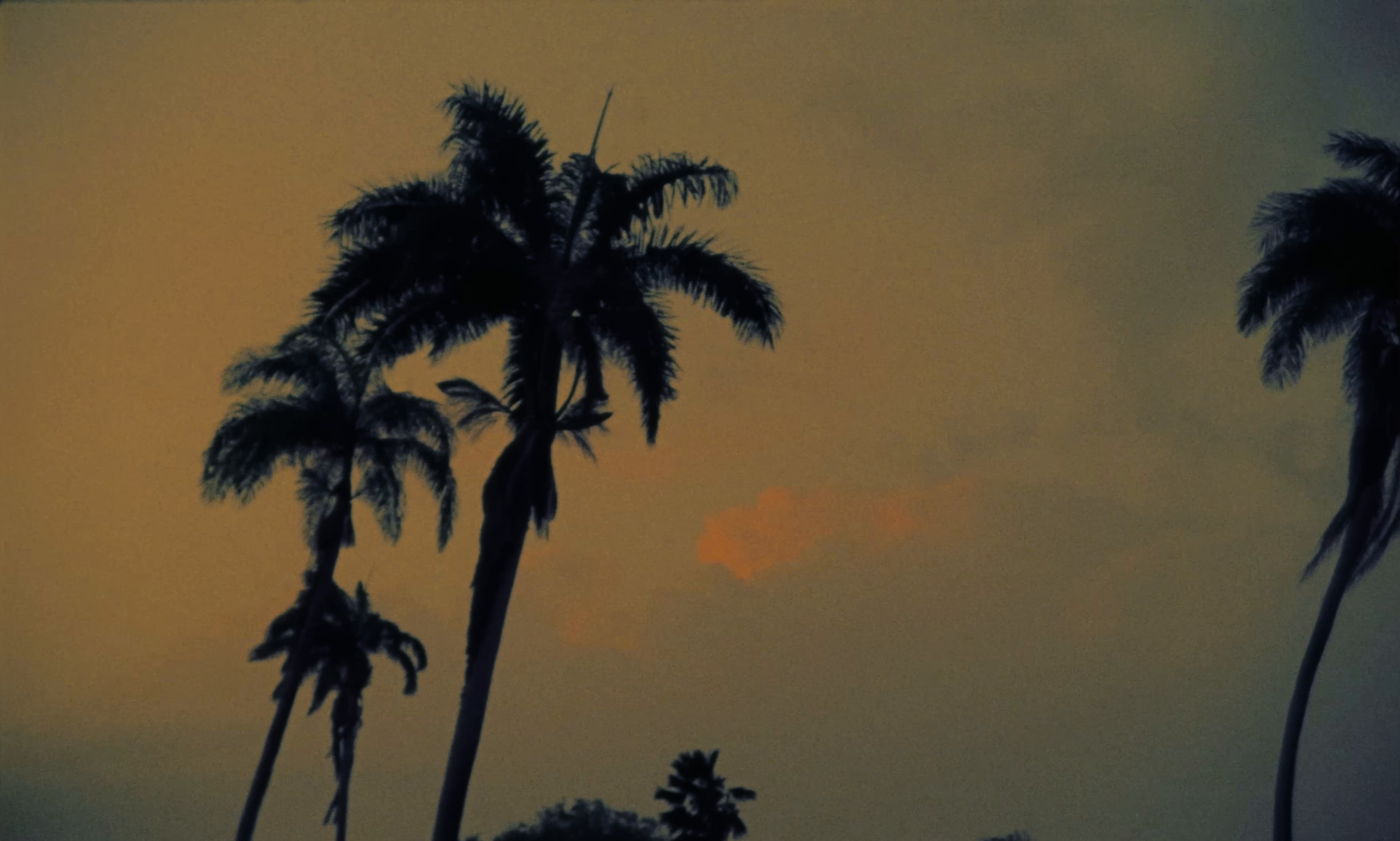 TEQUILA (2024) —  shot,  lighting