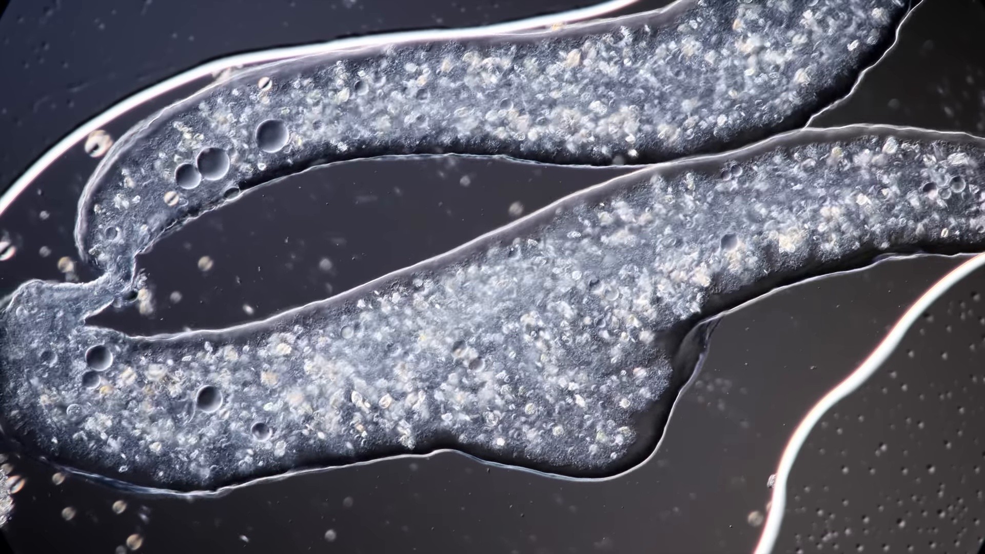 Wet (2024) —  shot,  lighting