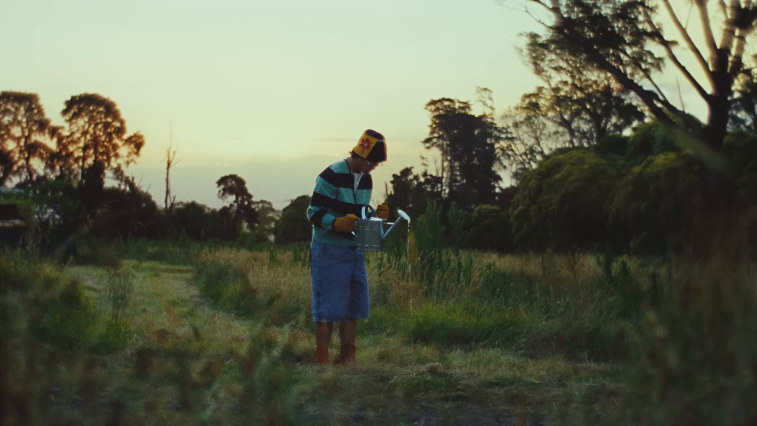 Dandelion (2025) —  shot,  lighting