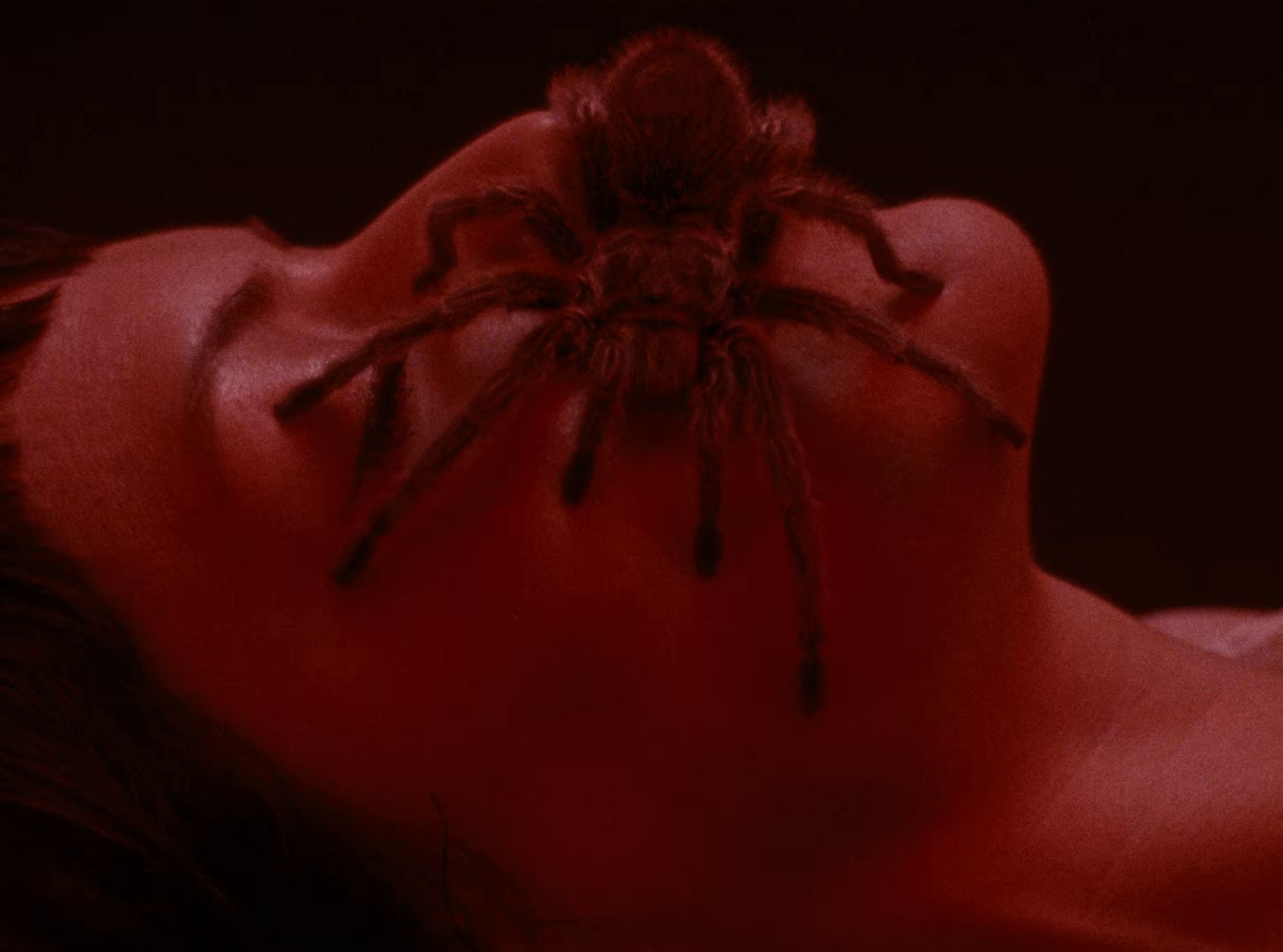 Not the Only One (2026) —  shot,  lighting