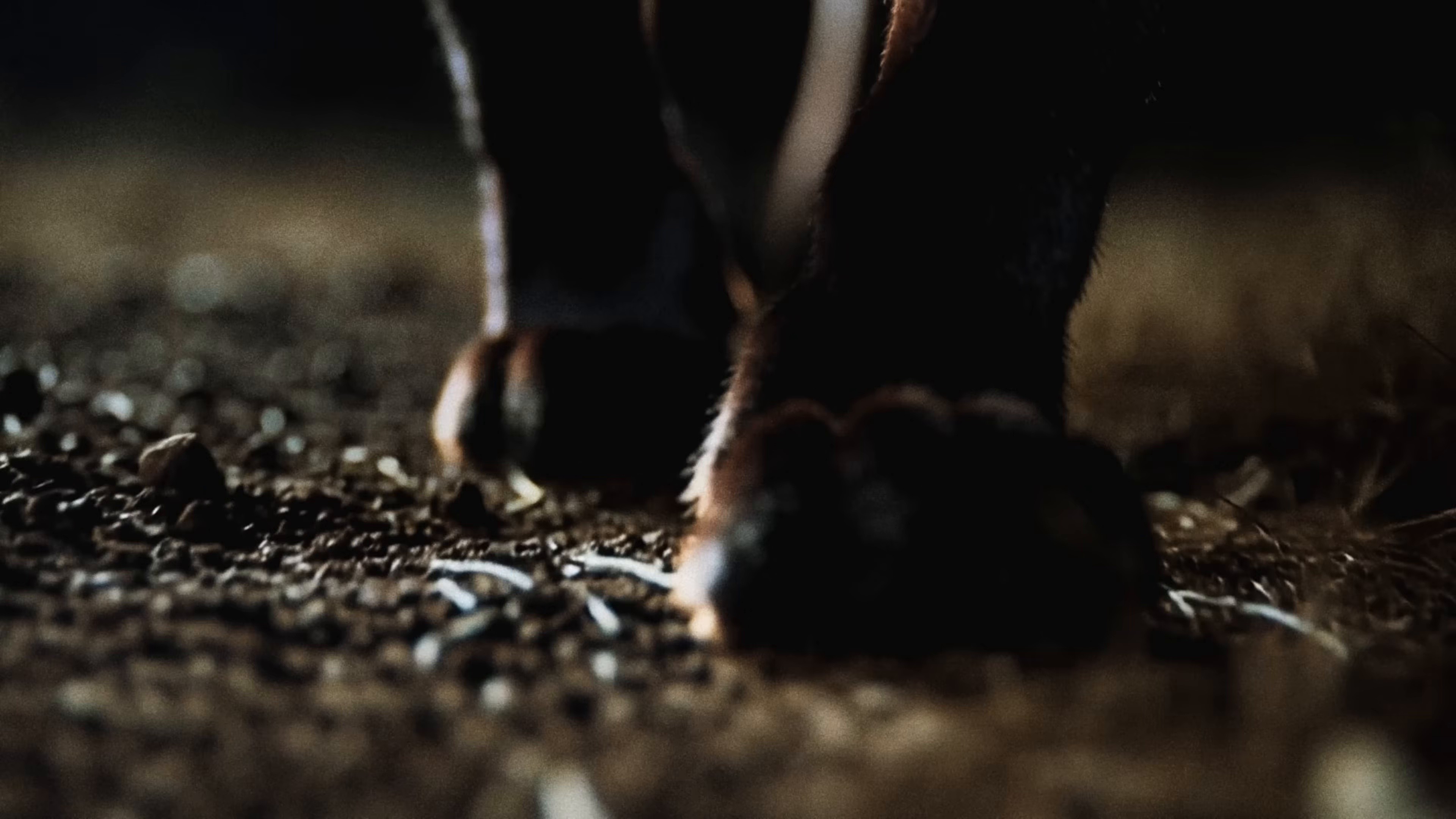 Sublife (2025) —  shot,  lighting