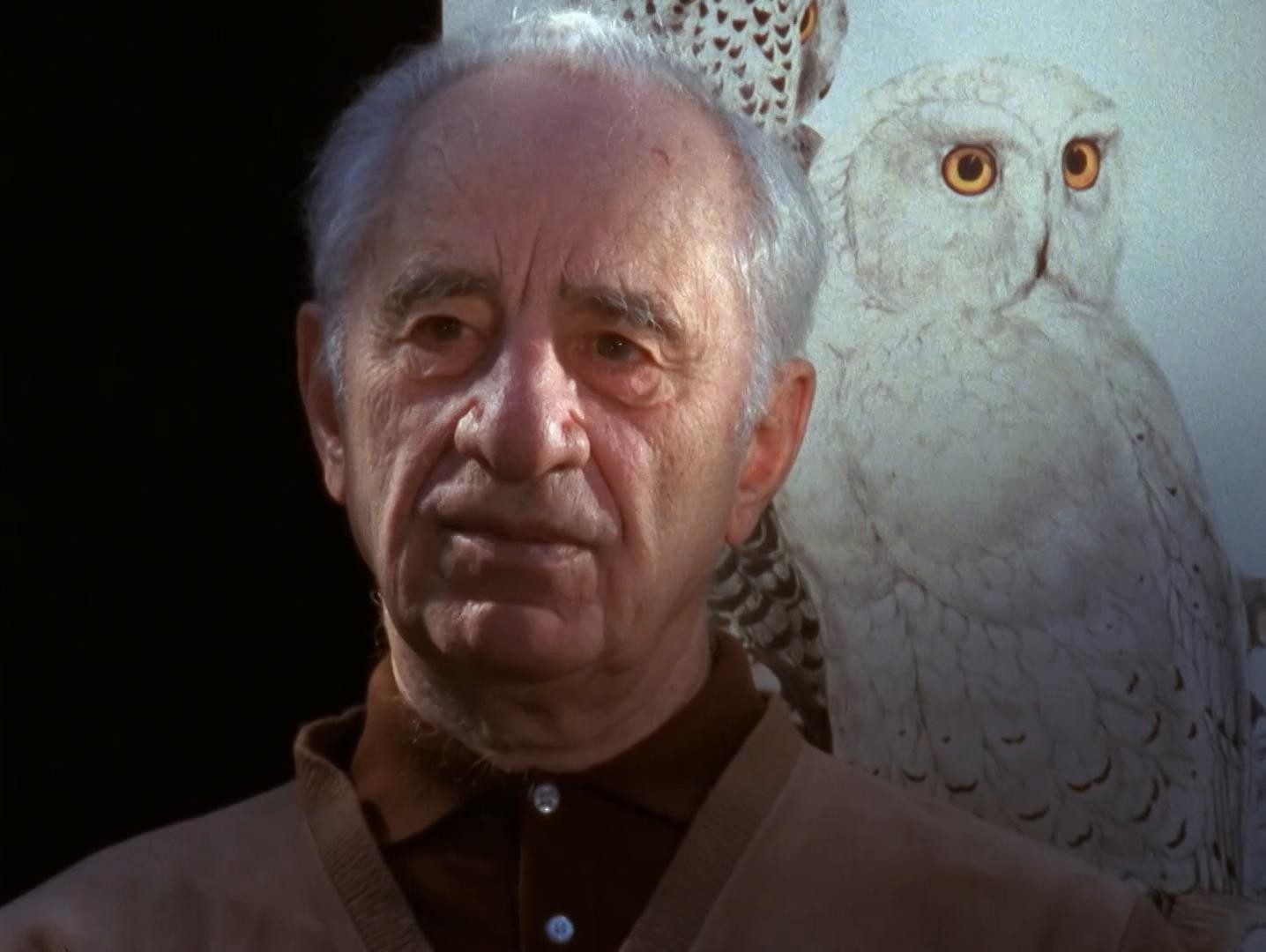 Démocratie ou La cité des songes (1990) —  shot,  lighting