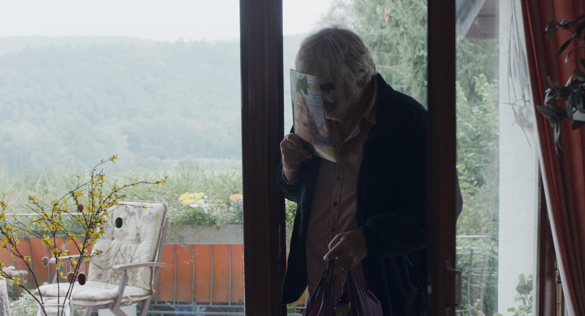 Toni Erdmann (2016) —  shot,  lighting