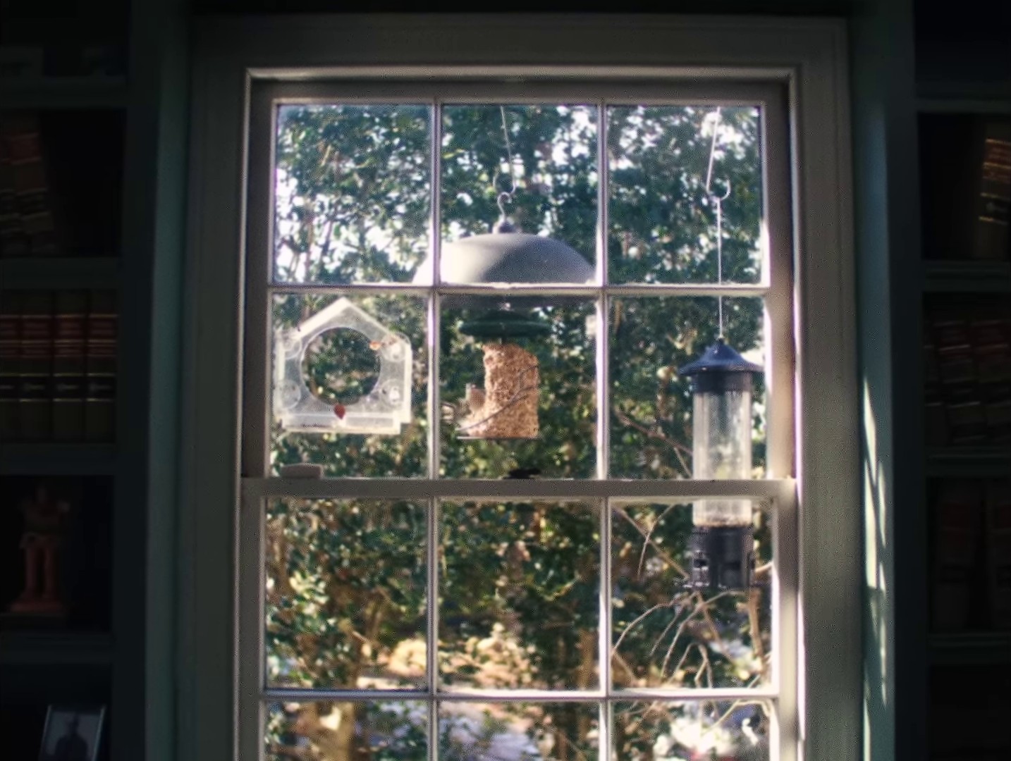 Glad You Did (2024) —  shot,  lighting