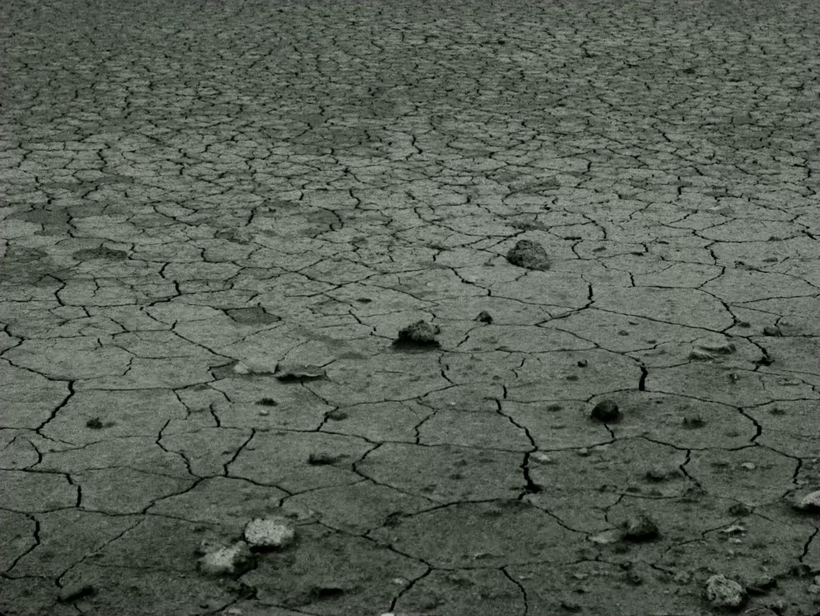 Eydís Evensen (2025) —  shot,  lighting