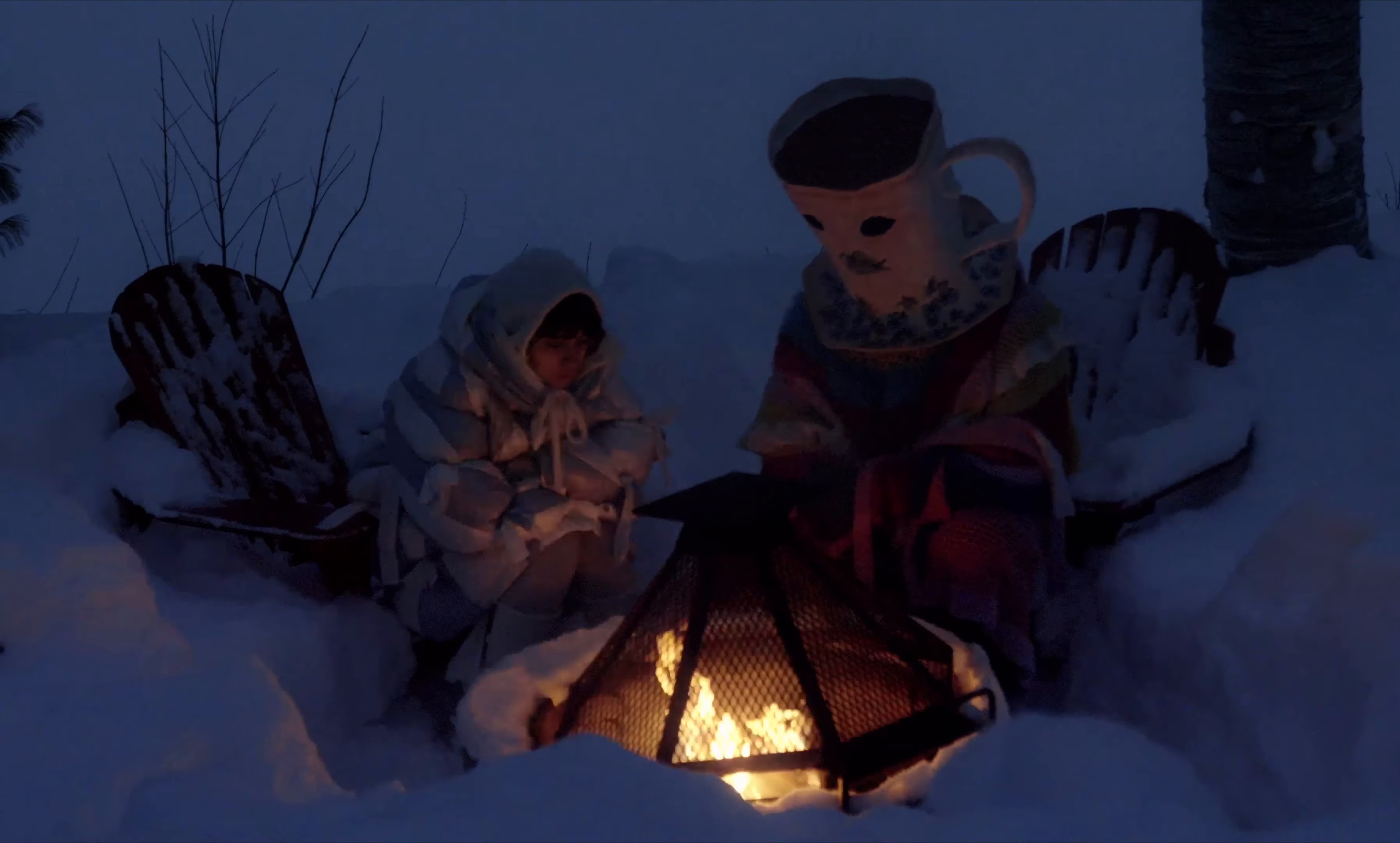saisons, le film: hiver (2024) —  shot,  lighting