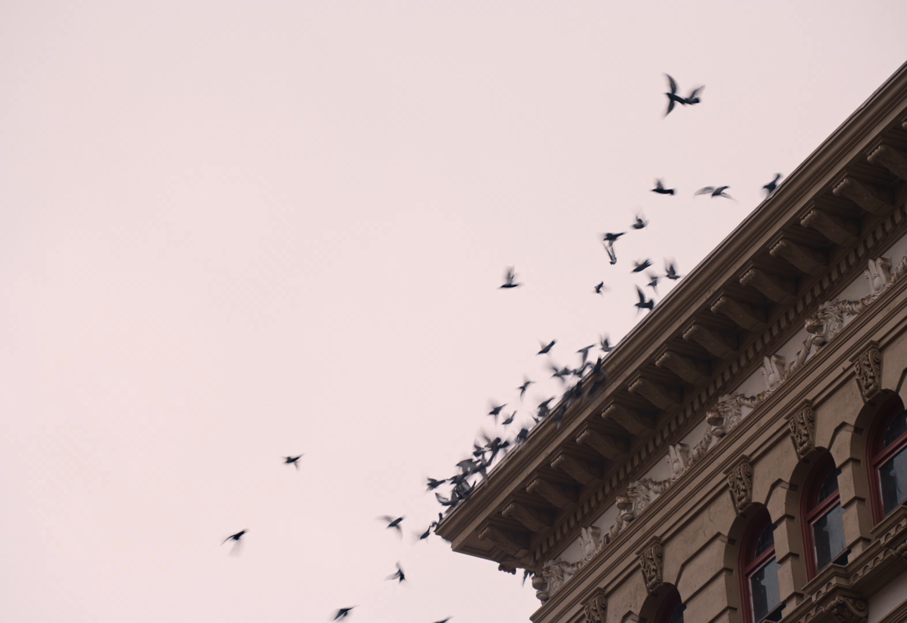 20teens (2026) —  shot,  lighting