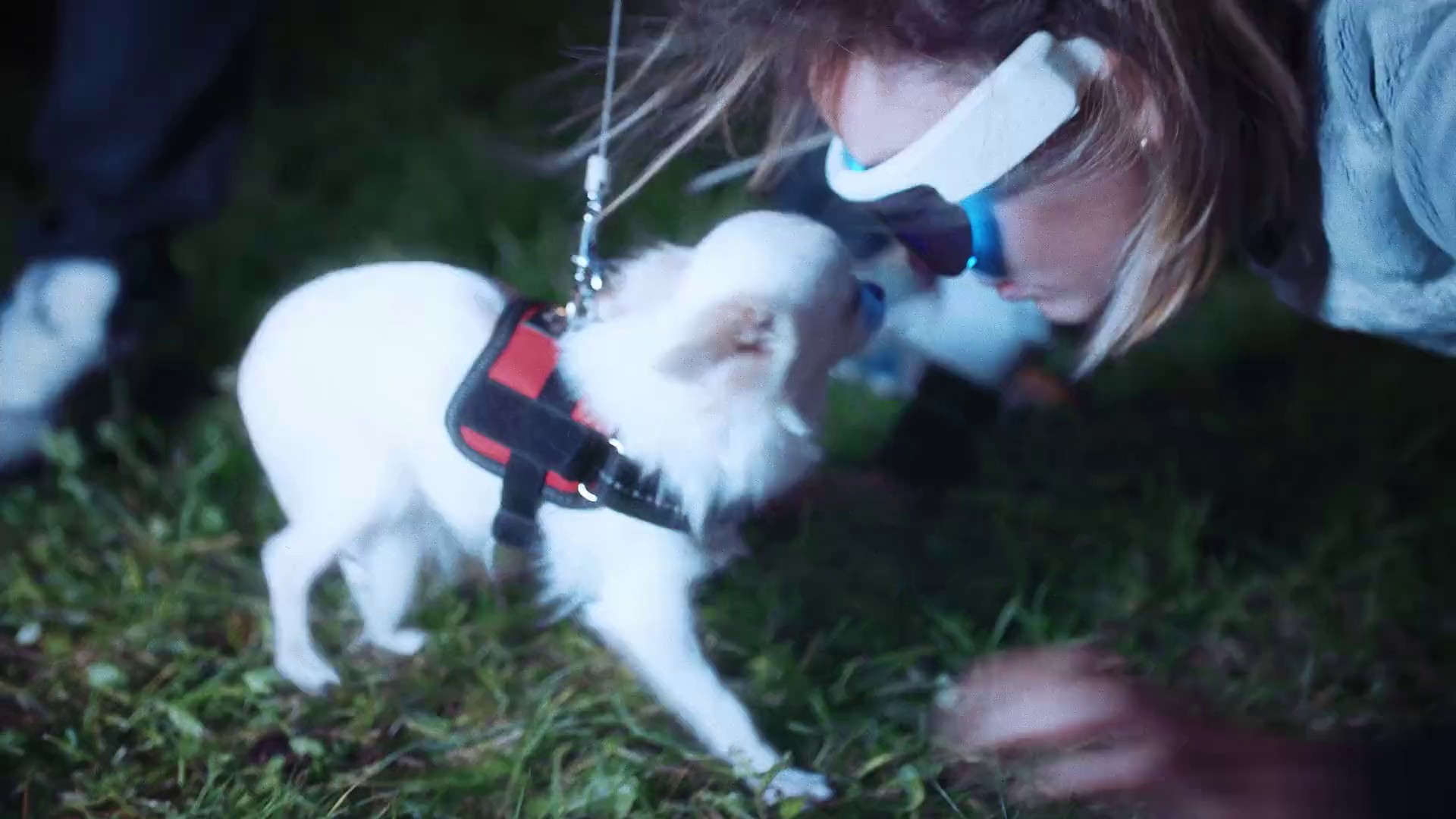 Fangs Out (2018) —  shot,  lighting