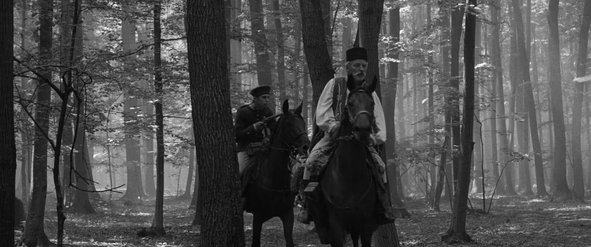 Aferim! (2015) —  shot,  lighting