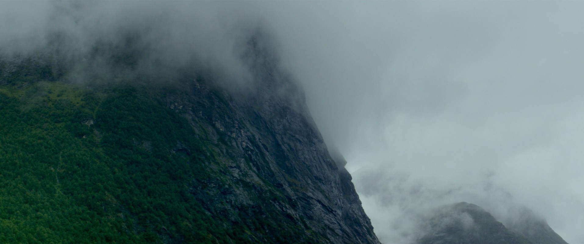 Ex Machina (2014) —  shot,  lighting