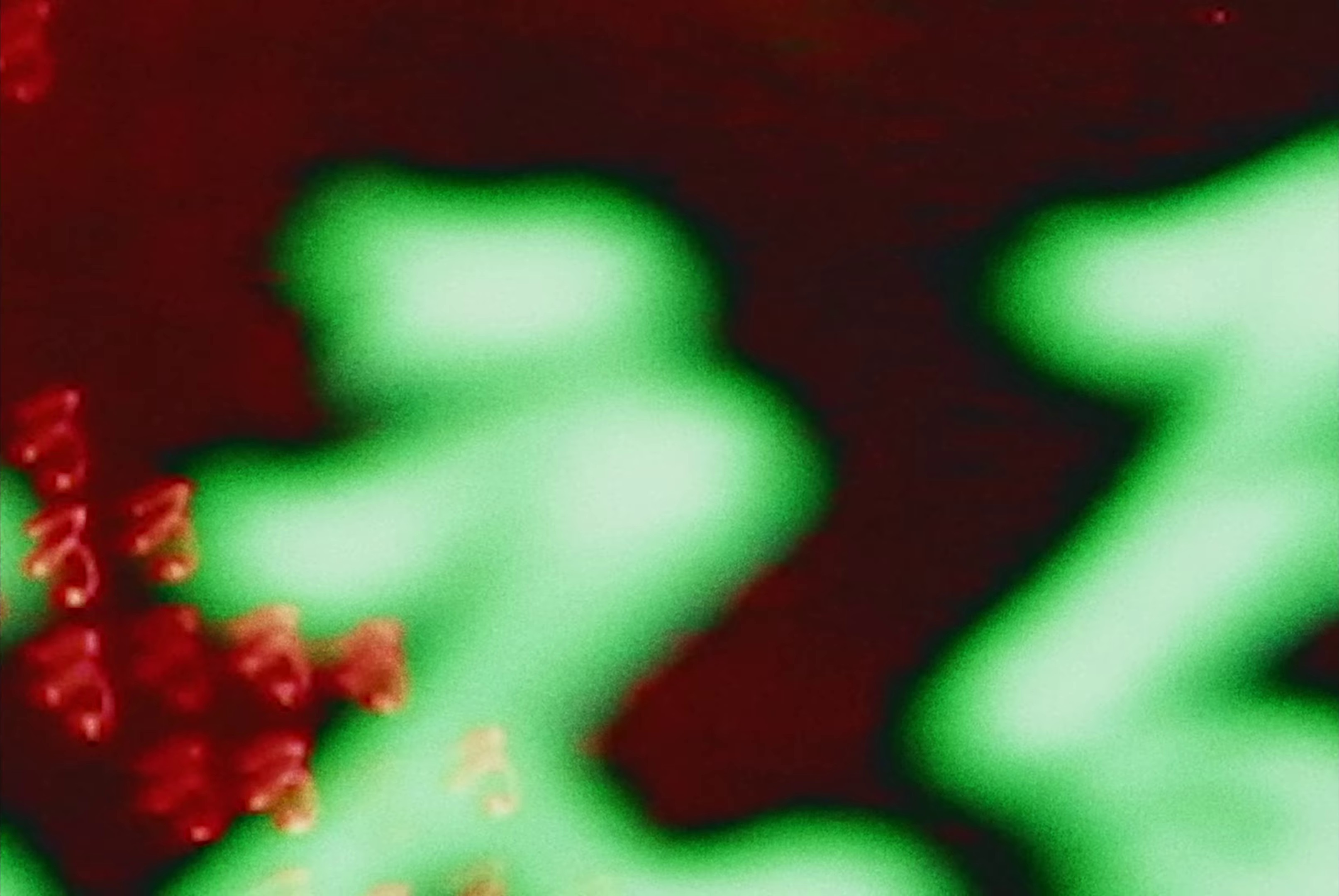 Happier (2023) —  shot,  lighting