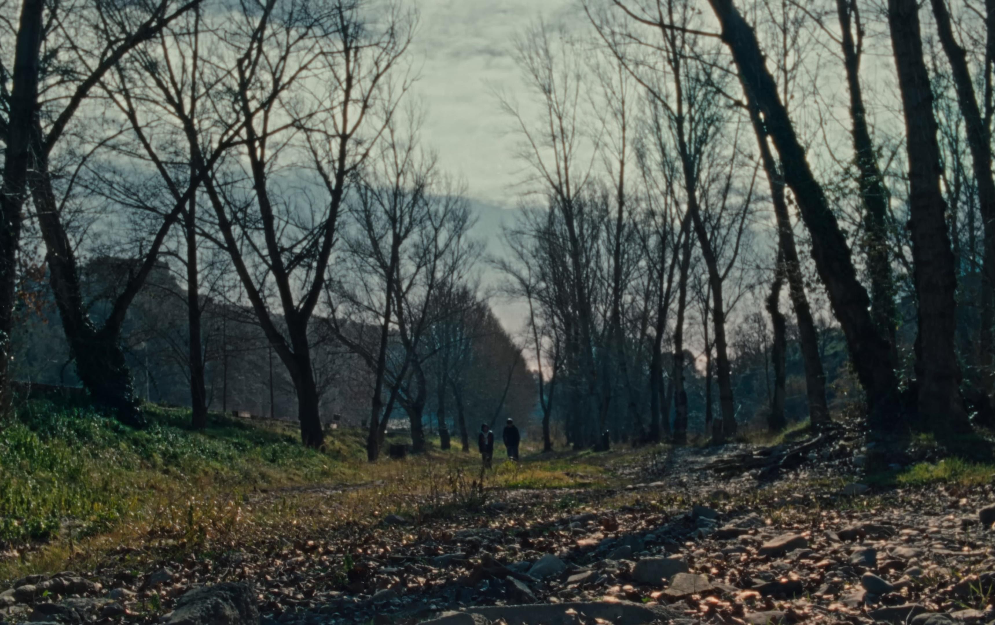 todo irá bien (2025) —  shot,  lighting