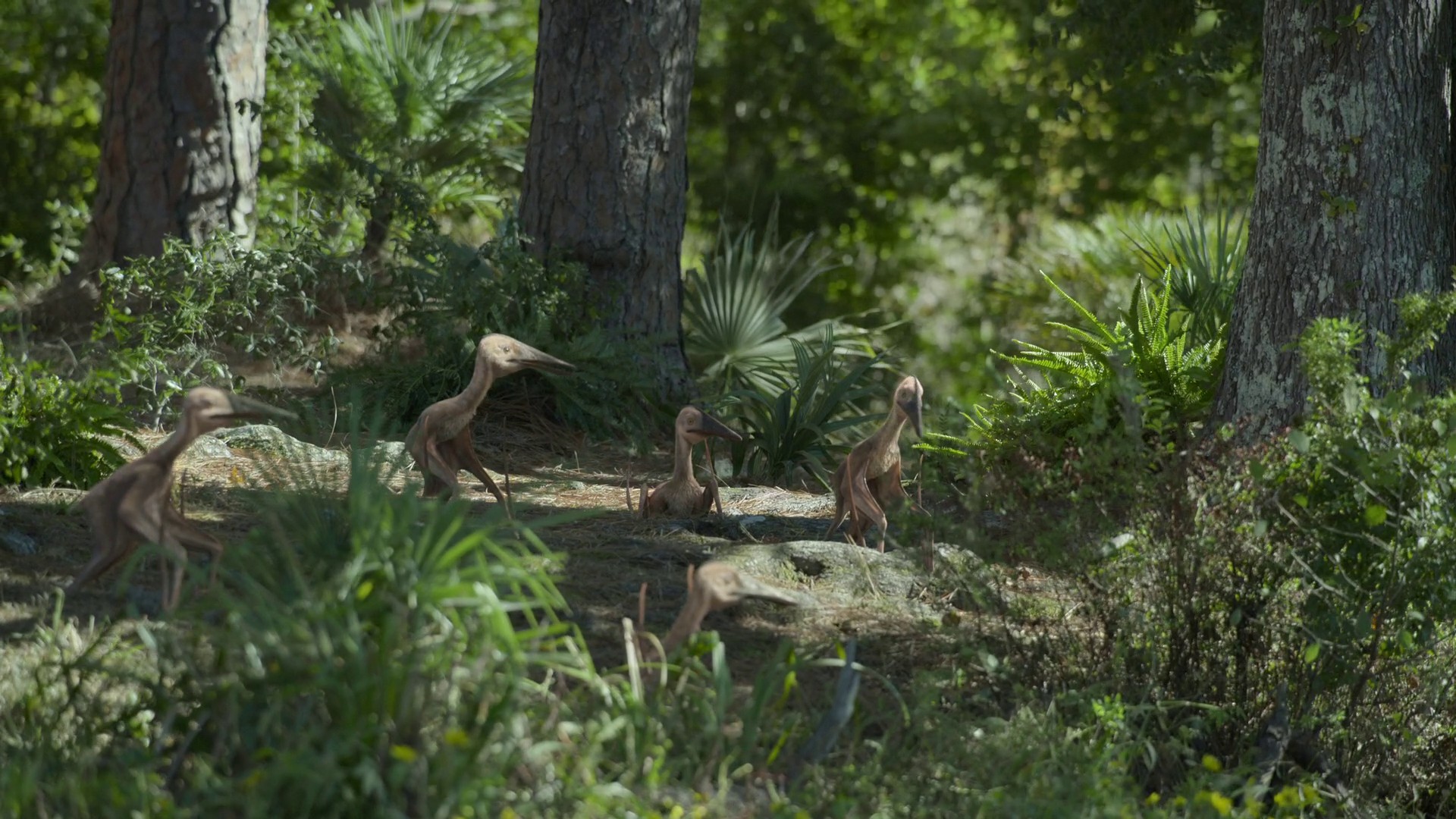 Swamps (2023) —  shot,  lighting