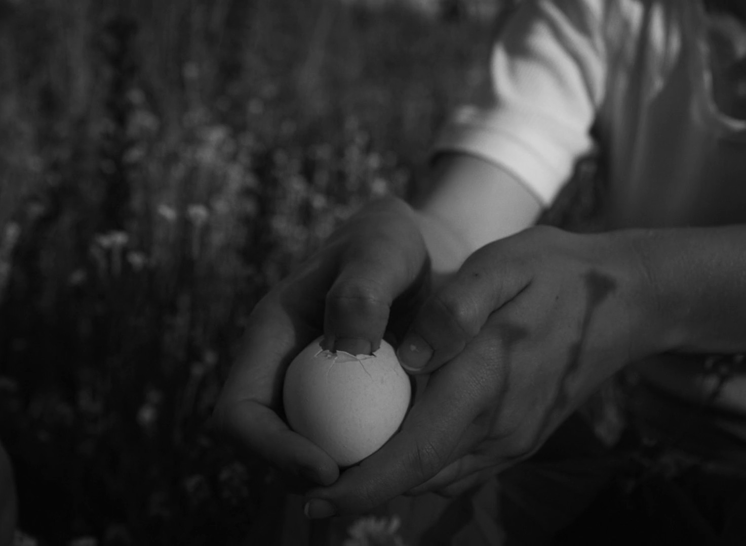Confessional (2019) —  shot,  lighting
