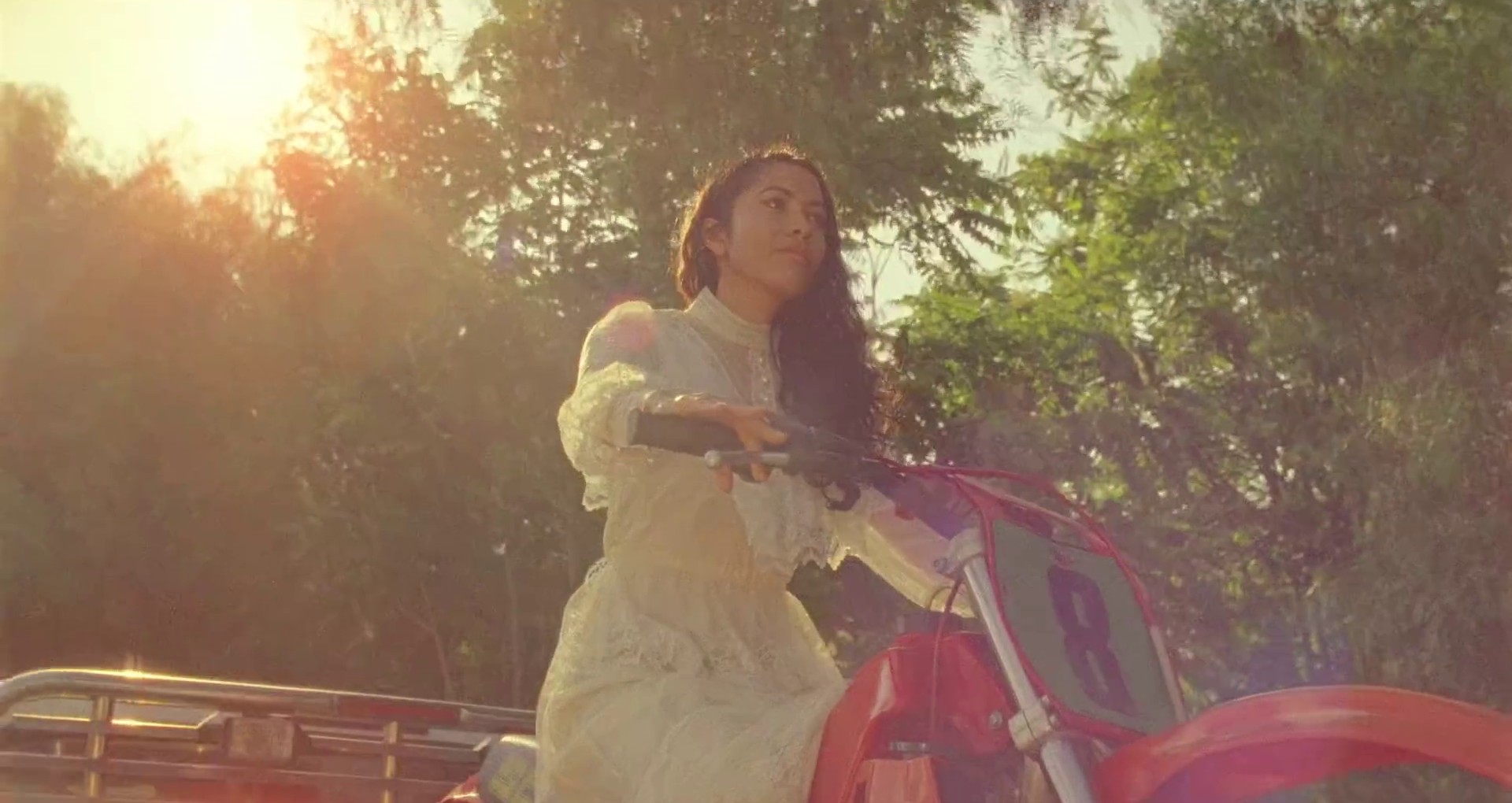 Seasons (2021) —  shot,  lighting