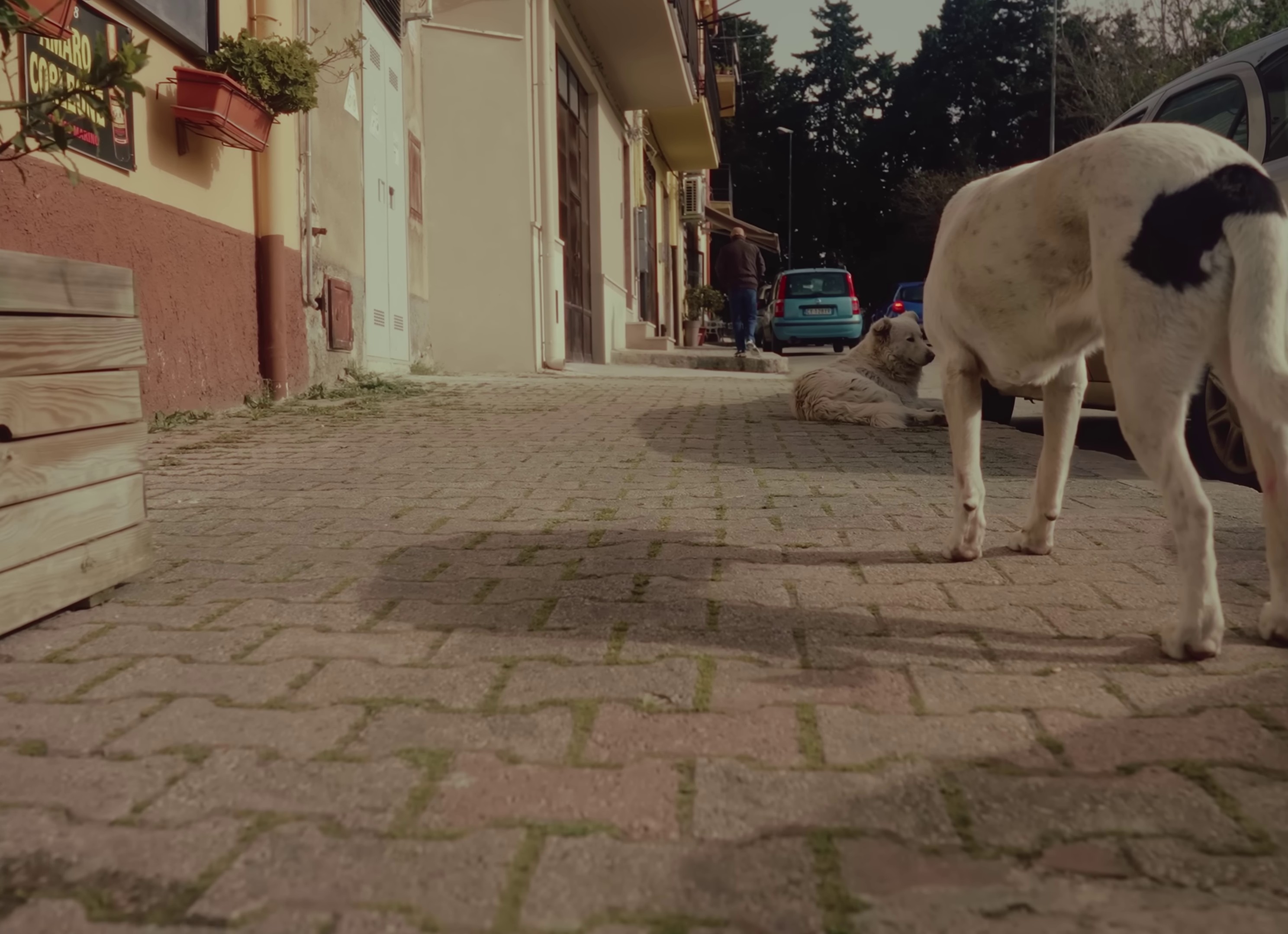 Time Bomb  (2022) —  shot,  lighting