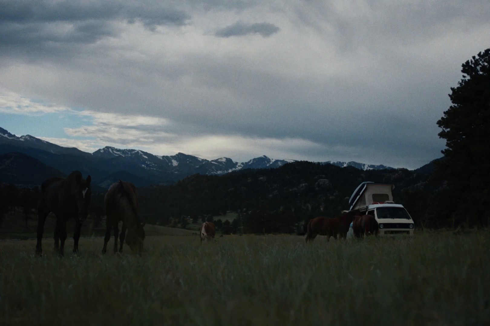 Faherty "The Rite of Passage" (2025) —  shot,  lighting